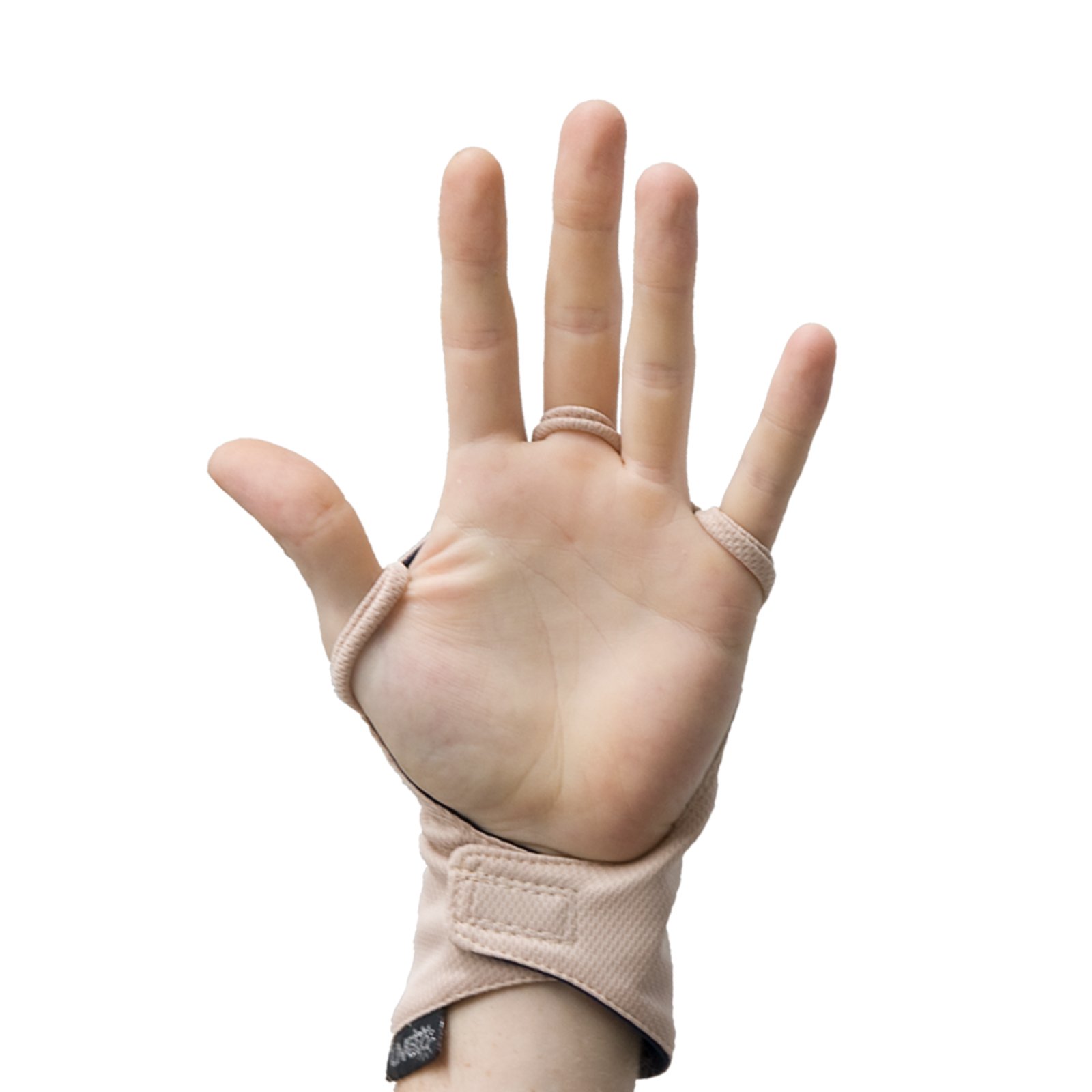 Backhander_Web_Bone_Palm.jpg