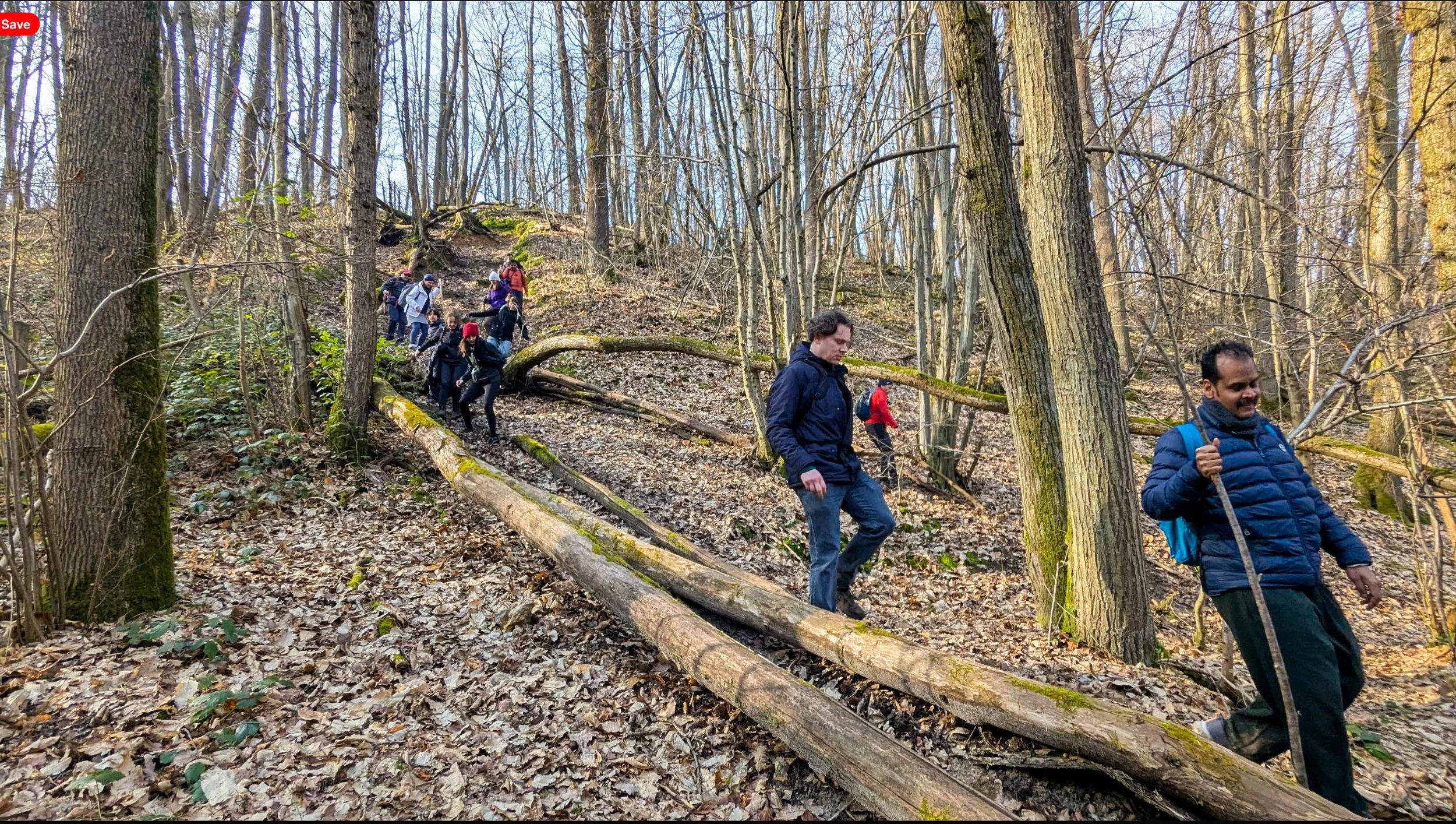 Screenshot 2025-02-17 at 21.01.30.jpg