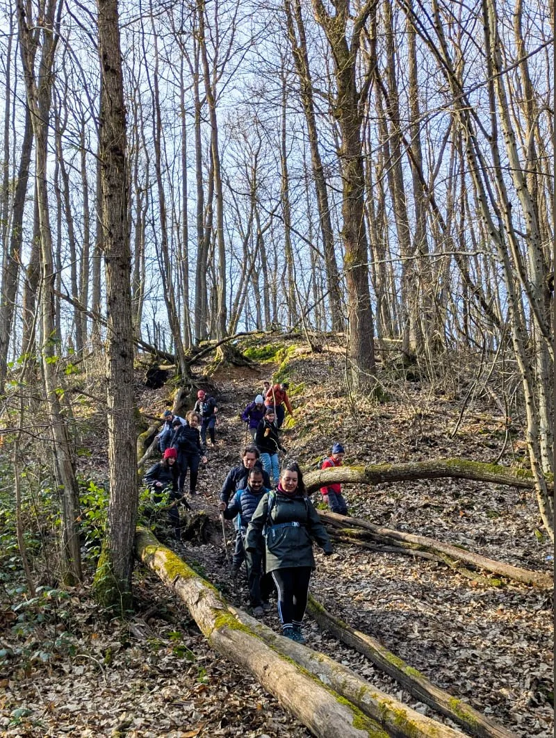 Screenshot 2025-02-17 at 21.01.20.jpg