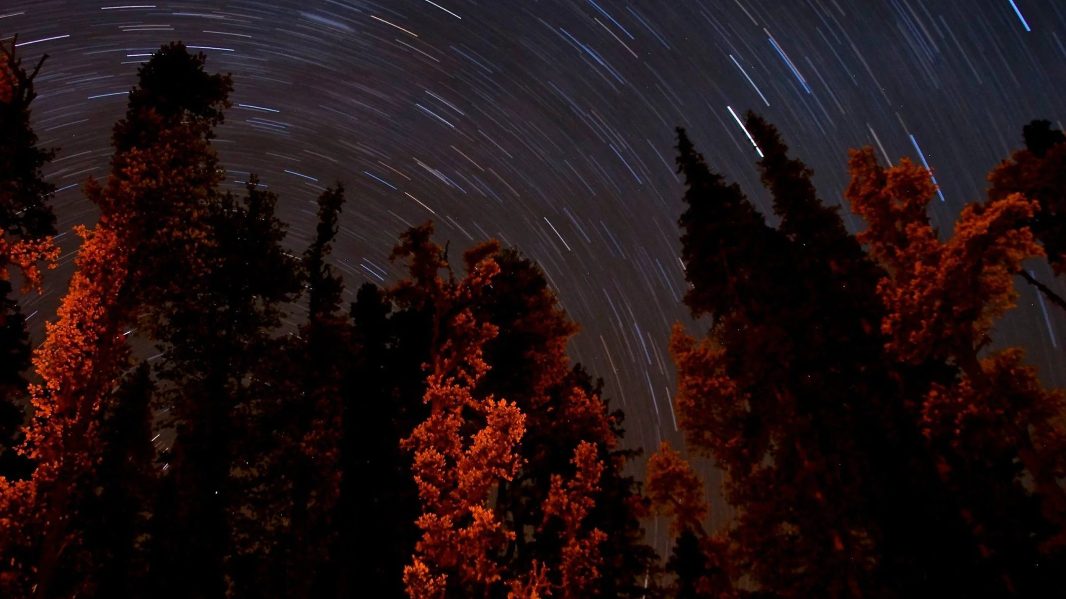 Chasing Stars on the Kedarkantha Trail 🌟✨ #StarGazing #kedarkanthatrek