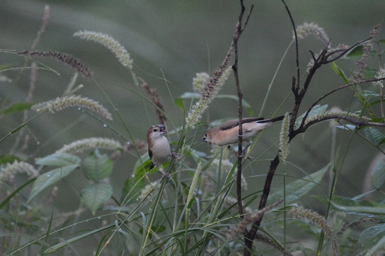 WhatsApp Image 2025-08-10 at 21.57.35.jpeg