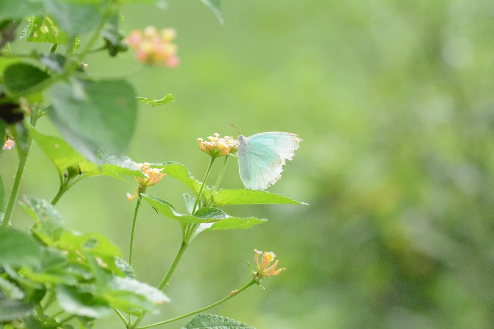 WhatsApp Image 2025-08-10 at 22.50.46.jpeg