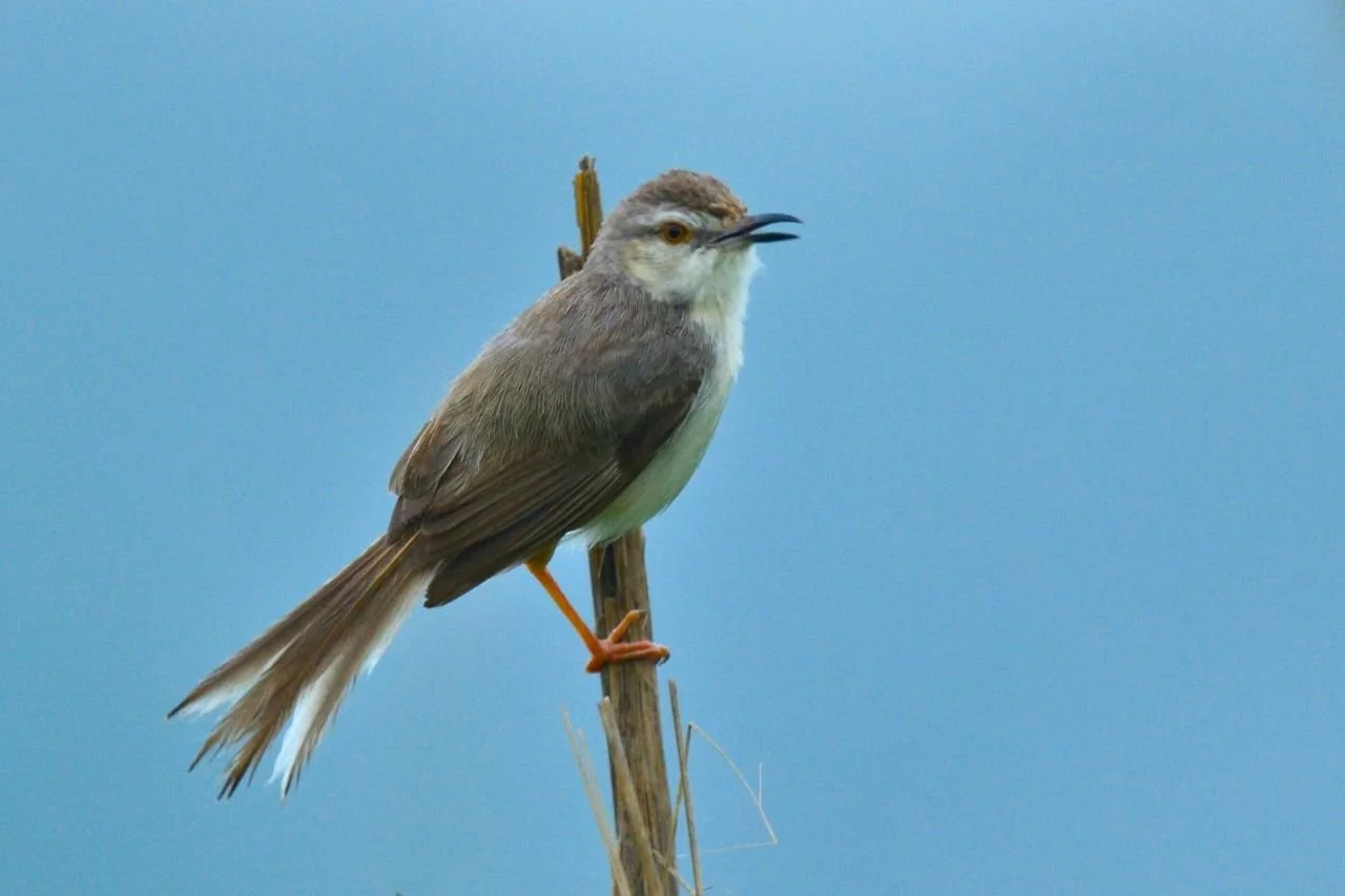 WhatsApp Image 2025-08-11 at 16.40.59.jpeg