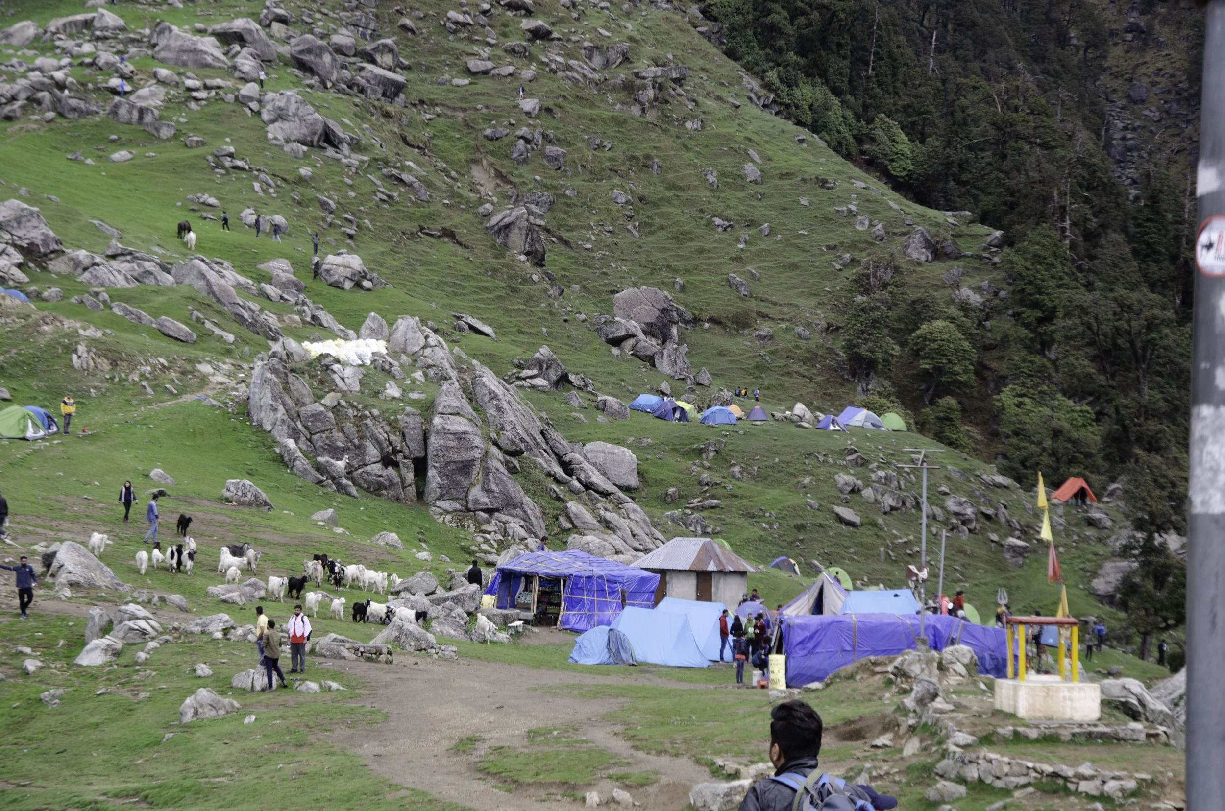 Triund-99.jpg