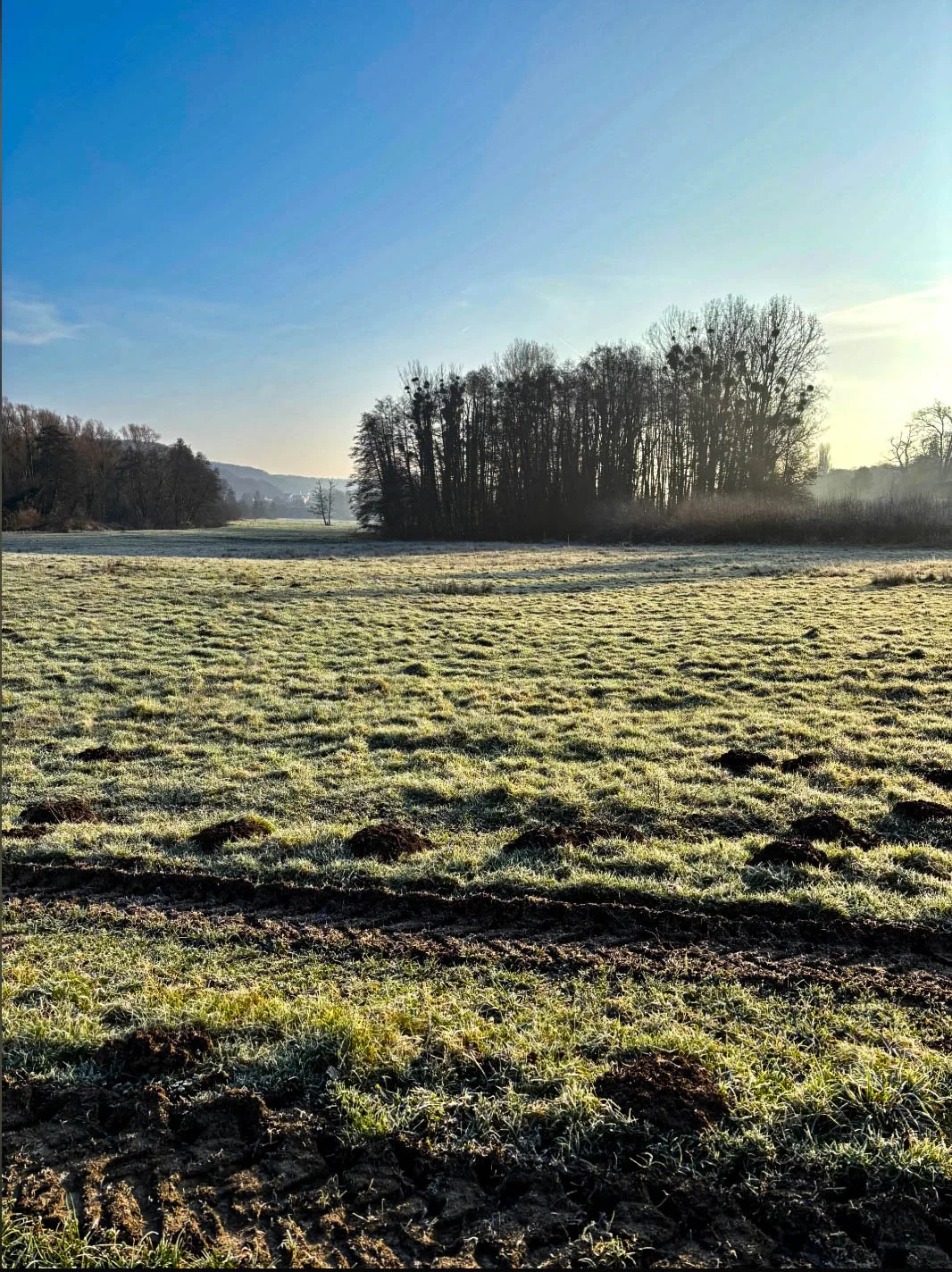 Screenshot 2025-02-17 at 21.00.25.jpg