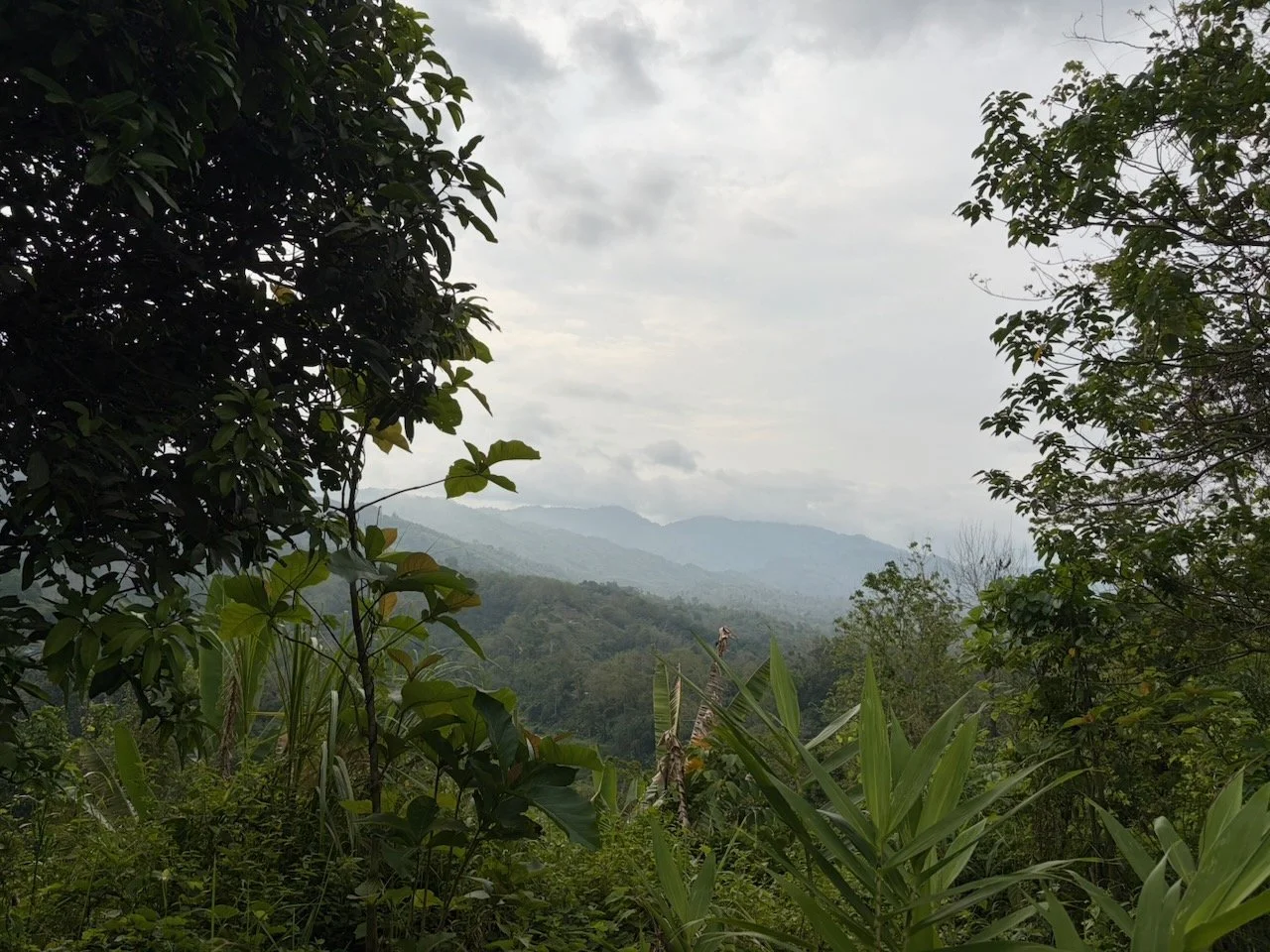 IMG_0150.jpeg
