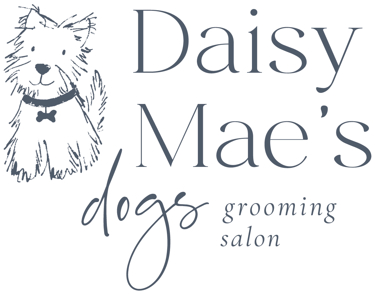 Daisy Mae&#39;s Dogs
