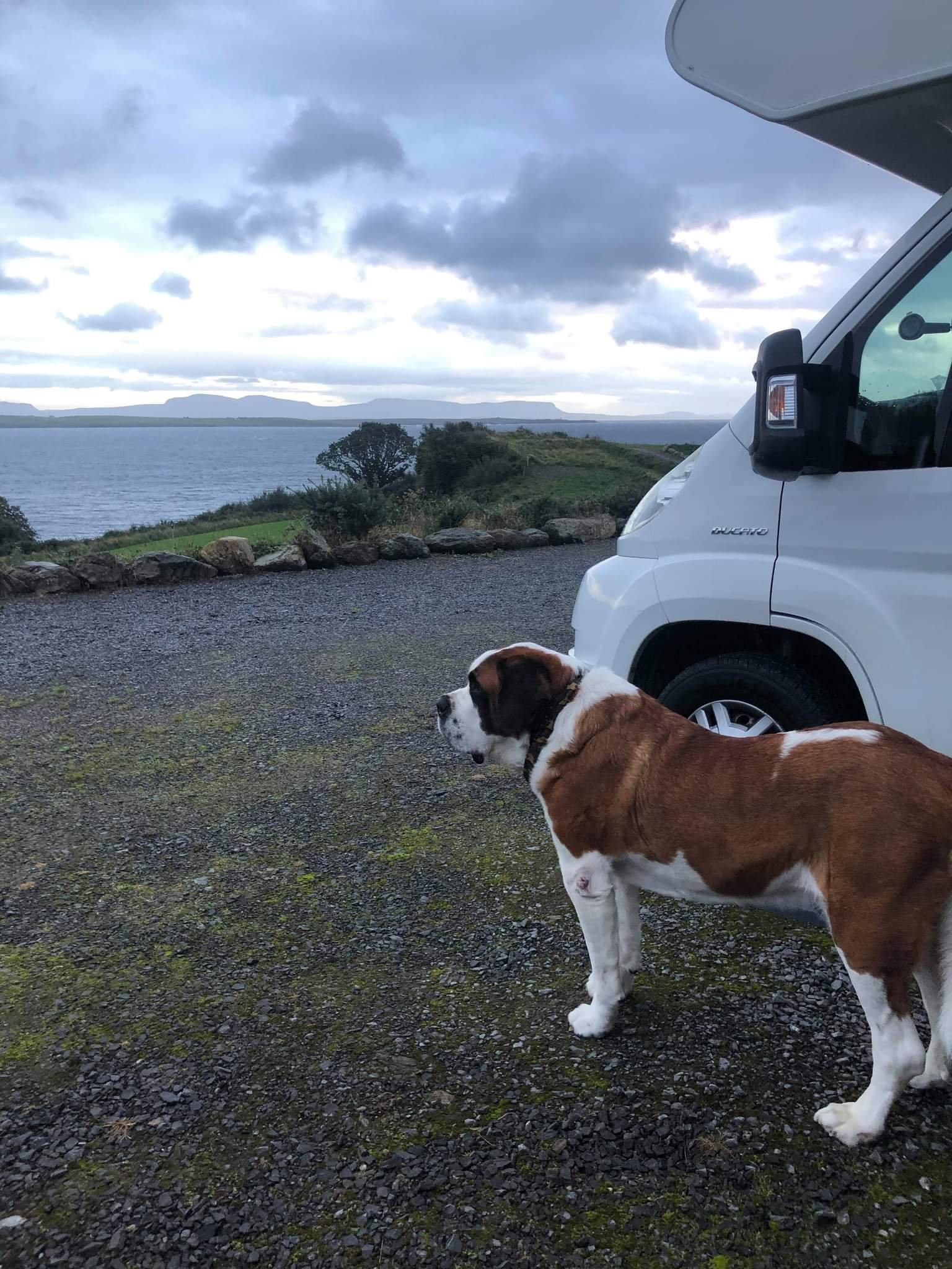 Dog friendly motorhome hire