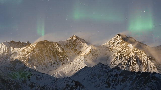 Beauty by Calvin Klein