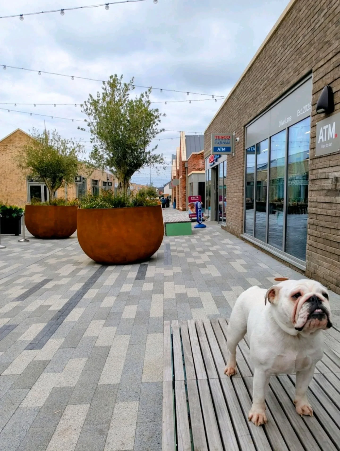 ☀️ Team day in Sheffield!

We kicked things off with a morning working at our Park Hill office, before heading over to a fantastic Last Friday Club event, kindly sponsored by Alan Wood &amp; Partners and the wonderful charity Support Dogs.

To round 