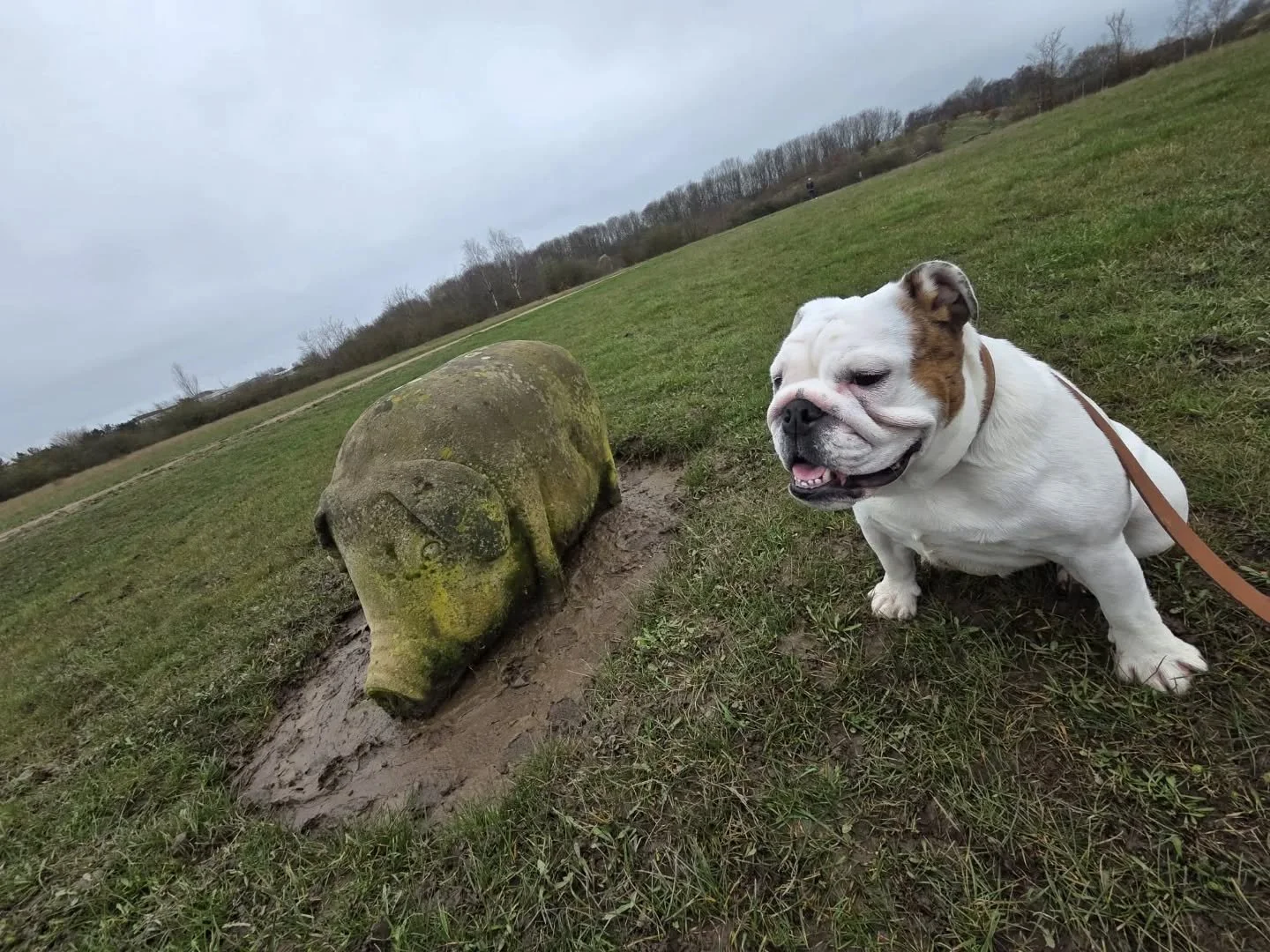 Right. Dad's gone to Cannes. Something about a property conference. Apparently it's "very important" and he'll be "networking."

Meanwhile I&rsquo;ve been left in Sheffield. In the mud.

So while he&rsquo;s swanning around the Sou