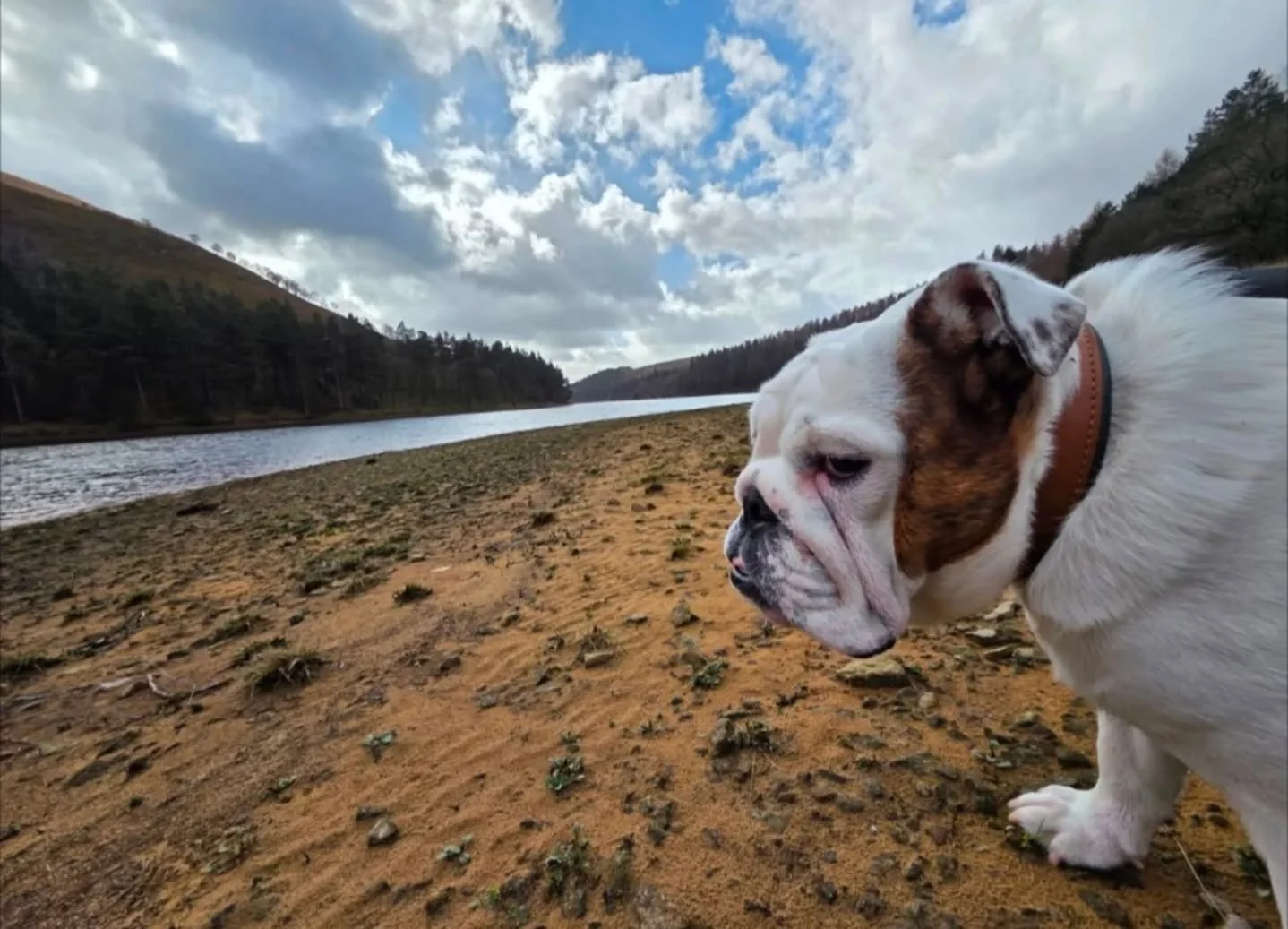 Day 4. I've been doing some research.

Apparently a lot of very important business gets done on the beach in Cannes. Deals are made, relationships are built, hands are shaken. Dad says it's not really a conference, it's more of a week on the French R