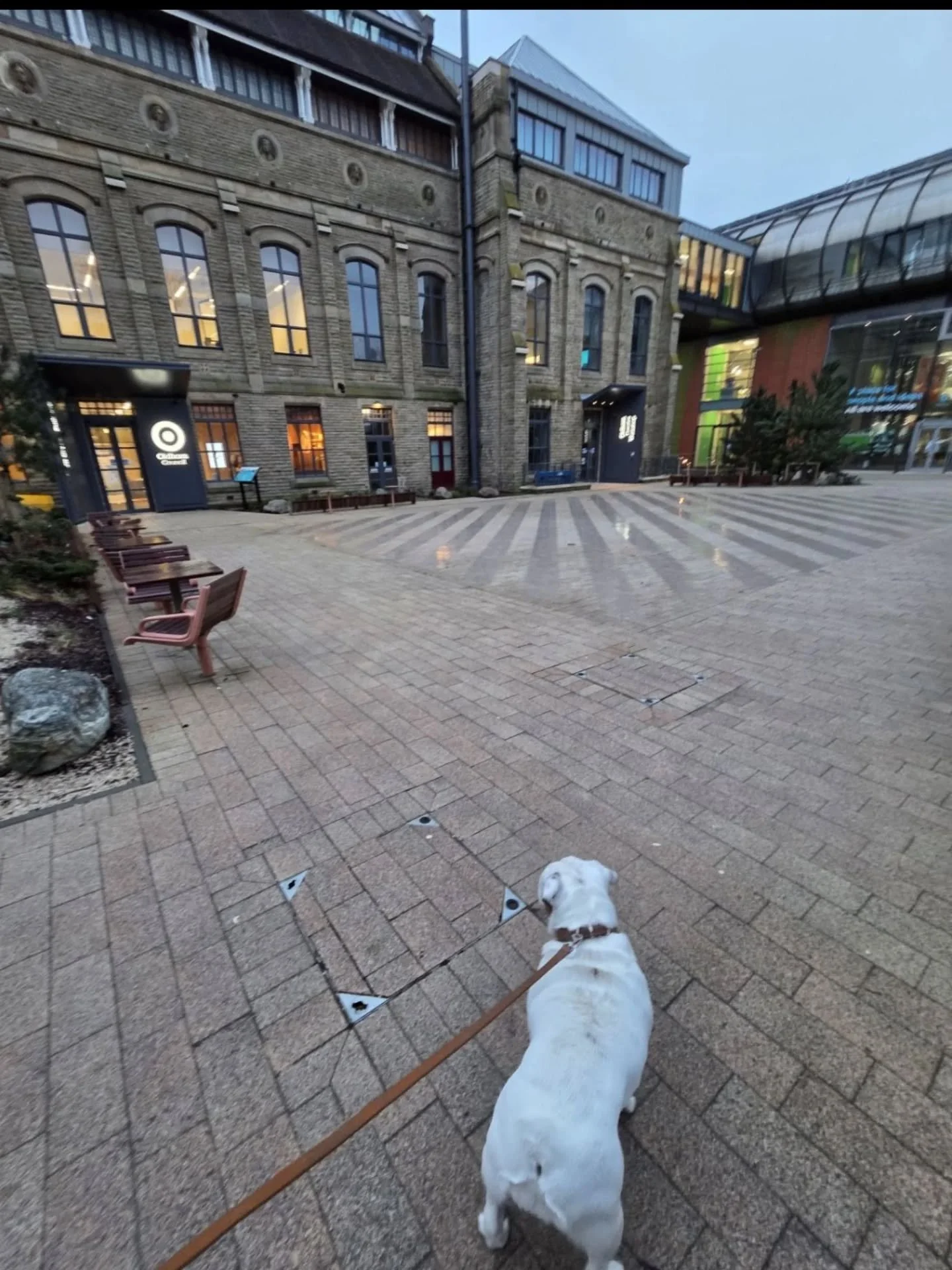 A busy 24 hours&hellip;

Last night, Phil Cooper joined the North of England MIPIM delegation in Castlefield, catching up with contacts old and new ahead of MIPIM in the south of France, now just a month away. Rosie was on hand as ever, enthusiastica