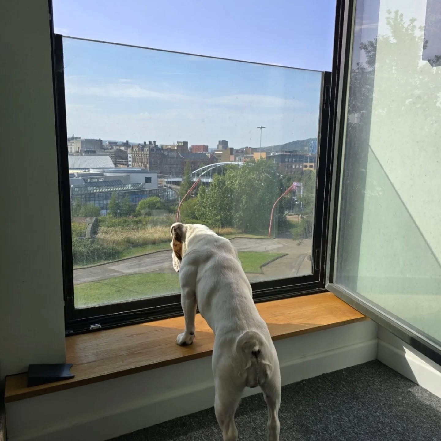 Phil Cooper will be heading to Leeds for UKREiiF in May. If you&rsquo;re there and fancy a catch up, get in touch!

#UKREiiF #Leeds #RealEstate #hopearchitects #PropertyDevelopment Architecture