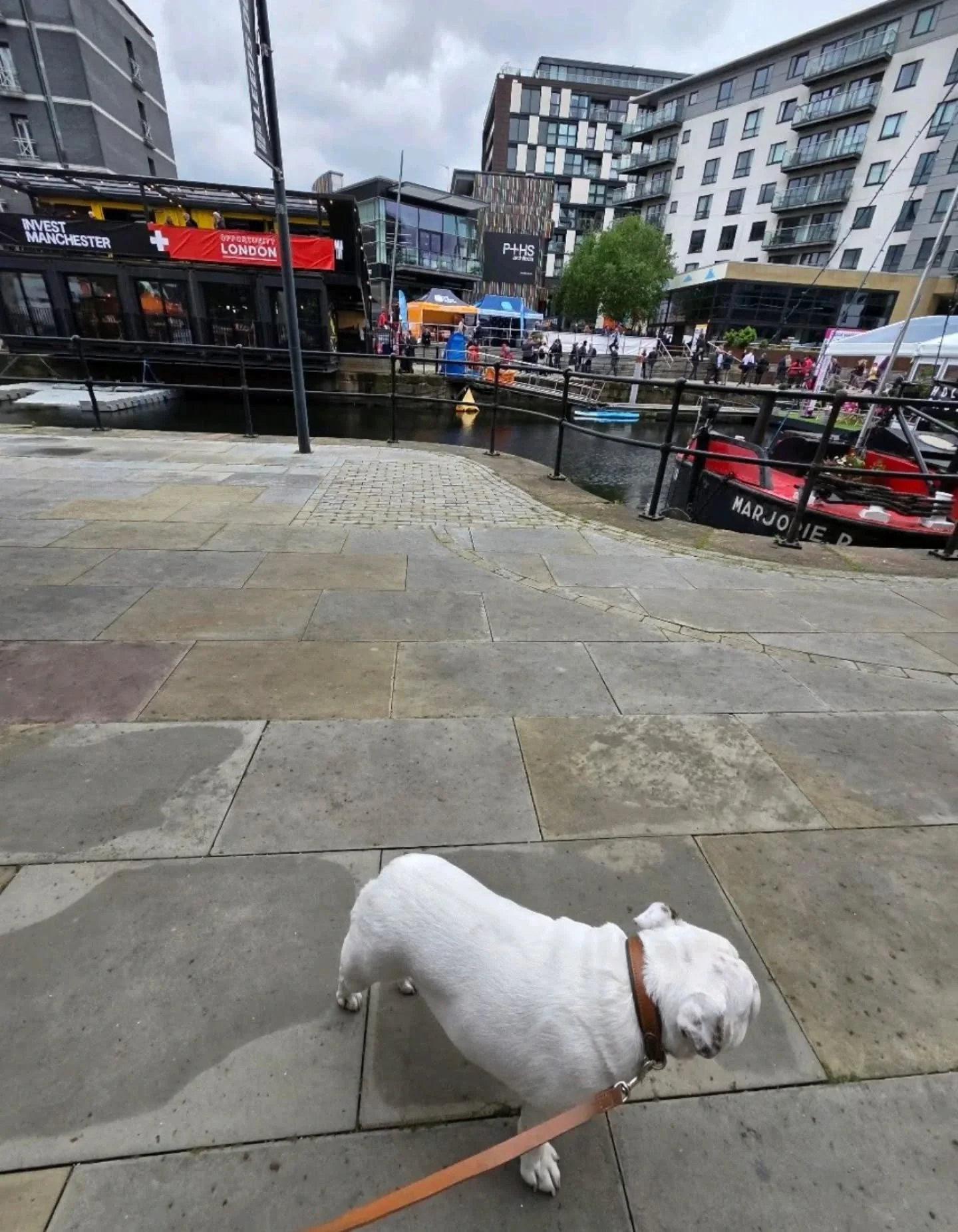 #RosieTakeover
I have been featured in the press.

@placenorthwest 'Thing of the Week'. I am sharing the column with a swimming pool in Hale, a snus-chewing politician, and a clock tower in Blackpool.
I consider this appropriate company.

I did bump 