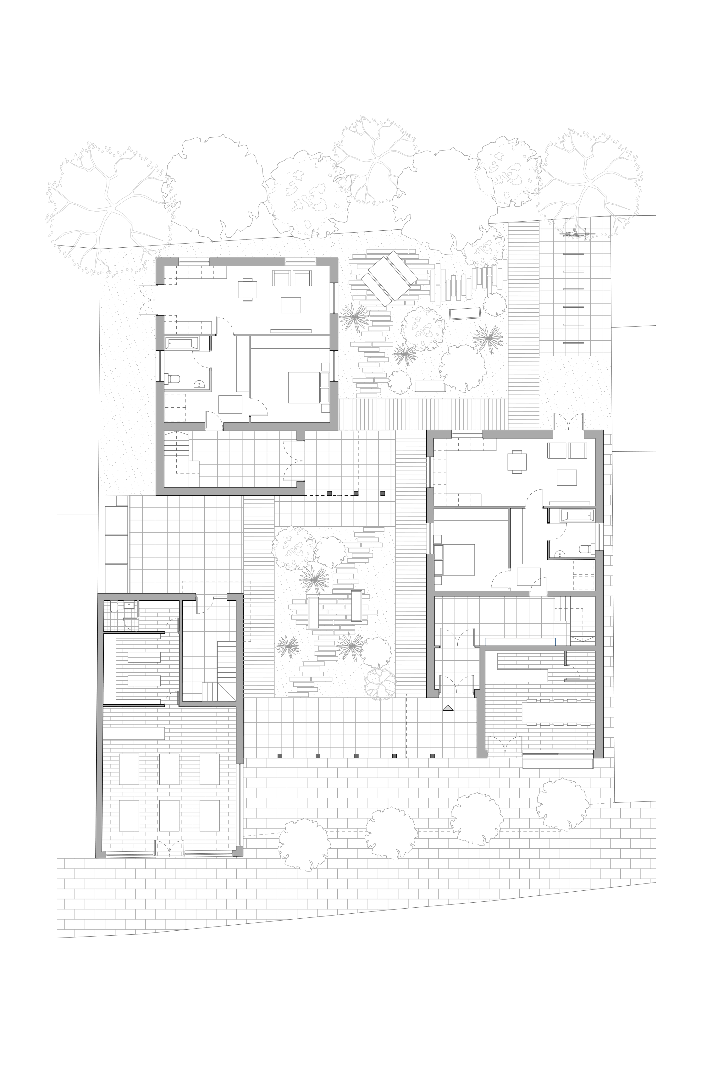 GF Plan (Website).png