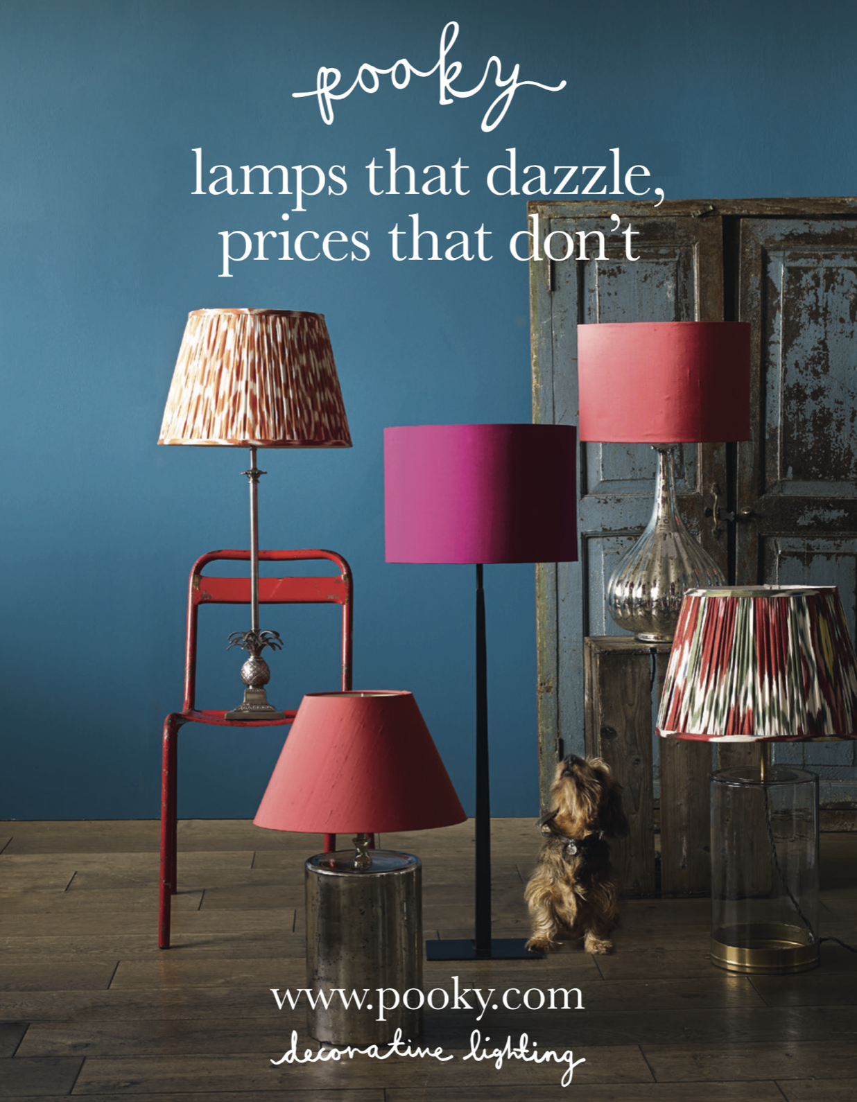 A press ad for Pooky lighting. A display of various colourful lamps, with a small dog sitting below one, and text promoting decorative lighting from pooky.com. Copywriting by Lee Anderson.