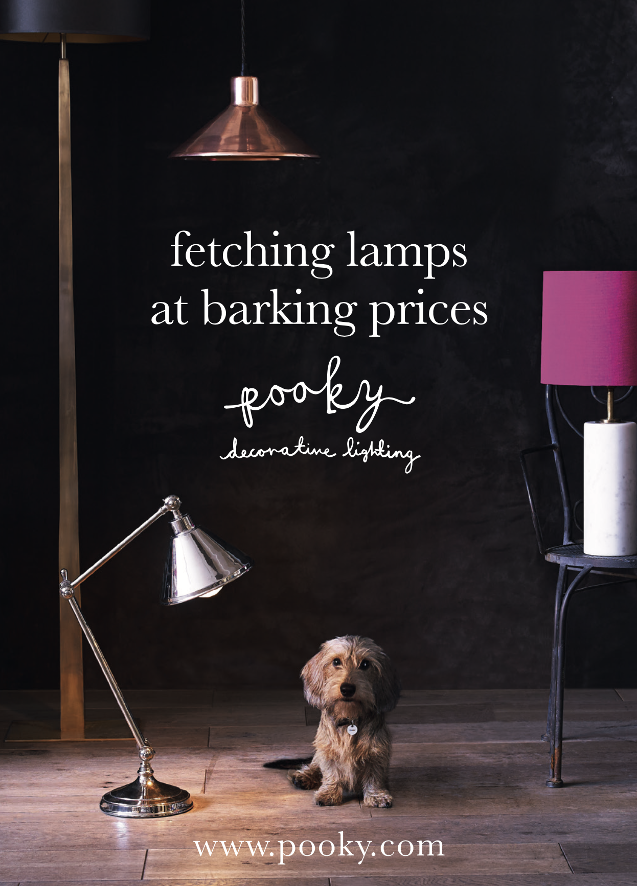 A small, scruffy dog sitting on a wooden floor next to a silver adjustable desk lamp. There is a black wall with white text that reads 'fetching lamps at barking prices pooky decorative lighting'. A pink table lamp with a white base and a purple shad