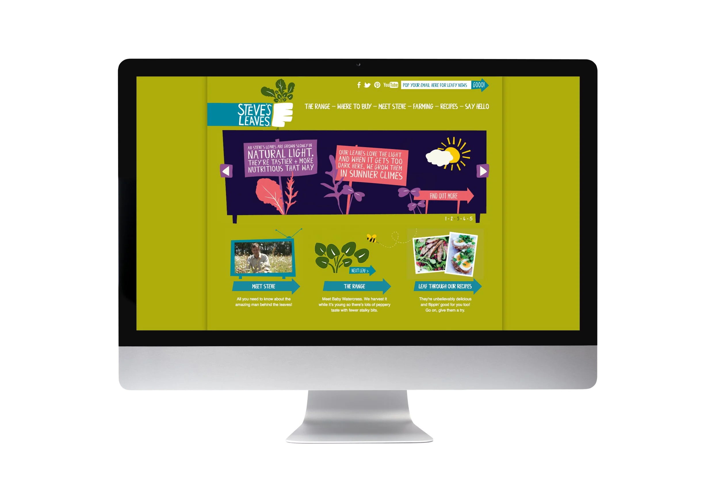 A computer screen displaying a colorful website for Steve's Leaves, featuring sections about the range's growth, a person named Steve, and recipes, with various graphics and text on a vibrant green background.