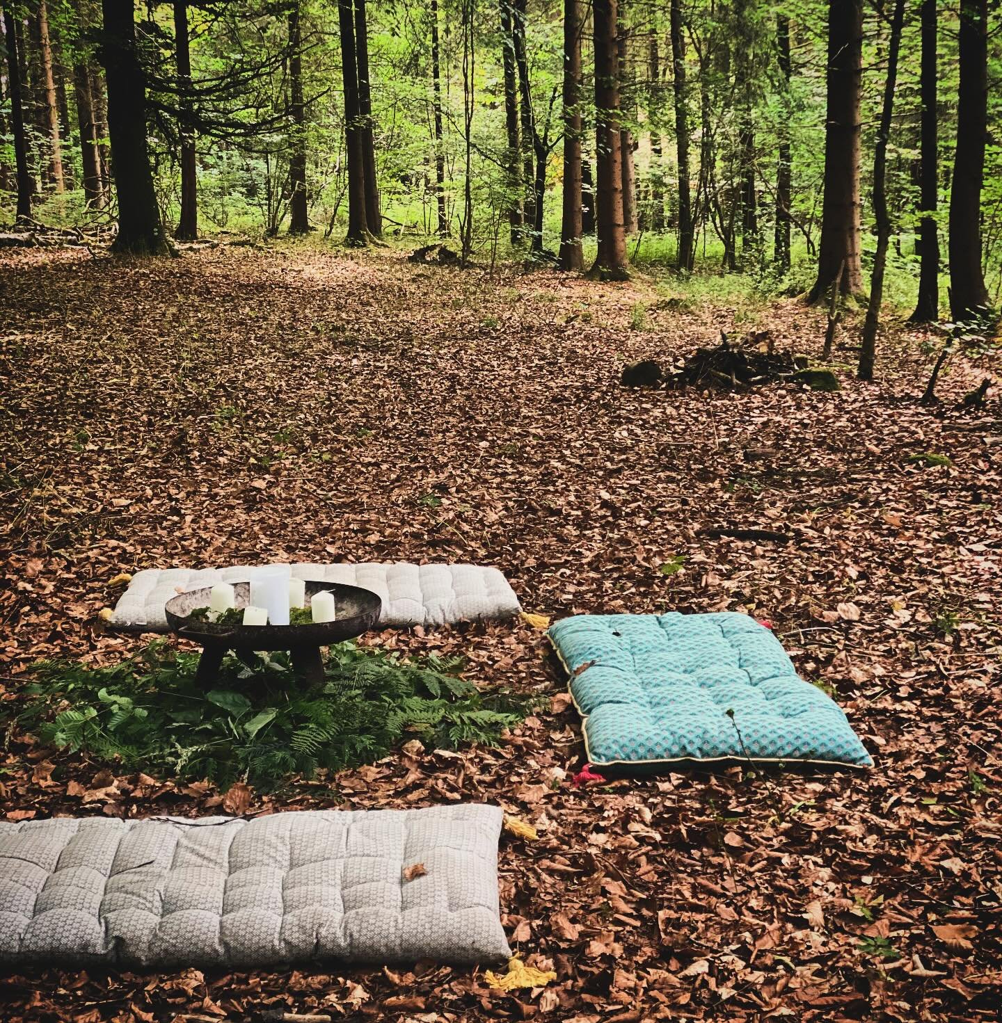 It's a week until our next woodland circle - complete with dancing, hammock lazing, hot soup around the fire and plenty of time to wander in the shade of the trees. We start at 12pm and finish at 6pm and it's looking to be a beautiful slow, nourishin