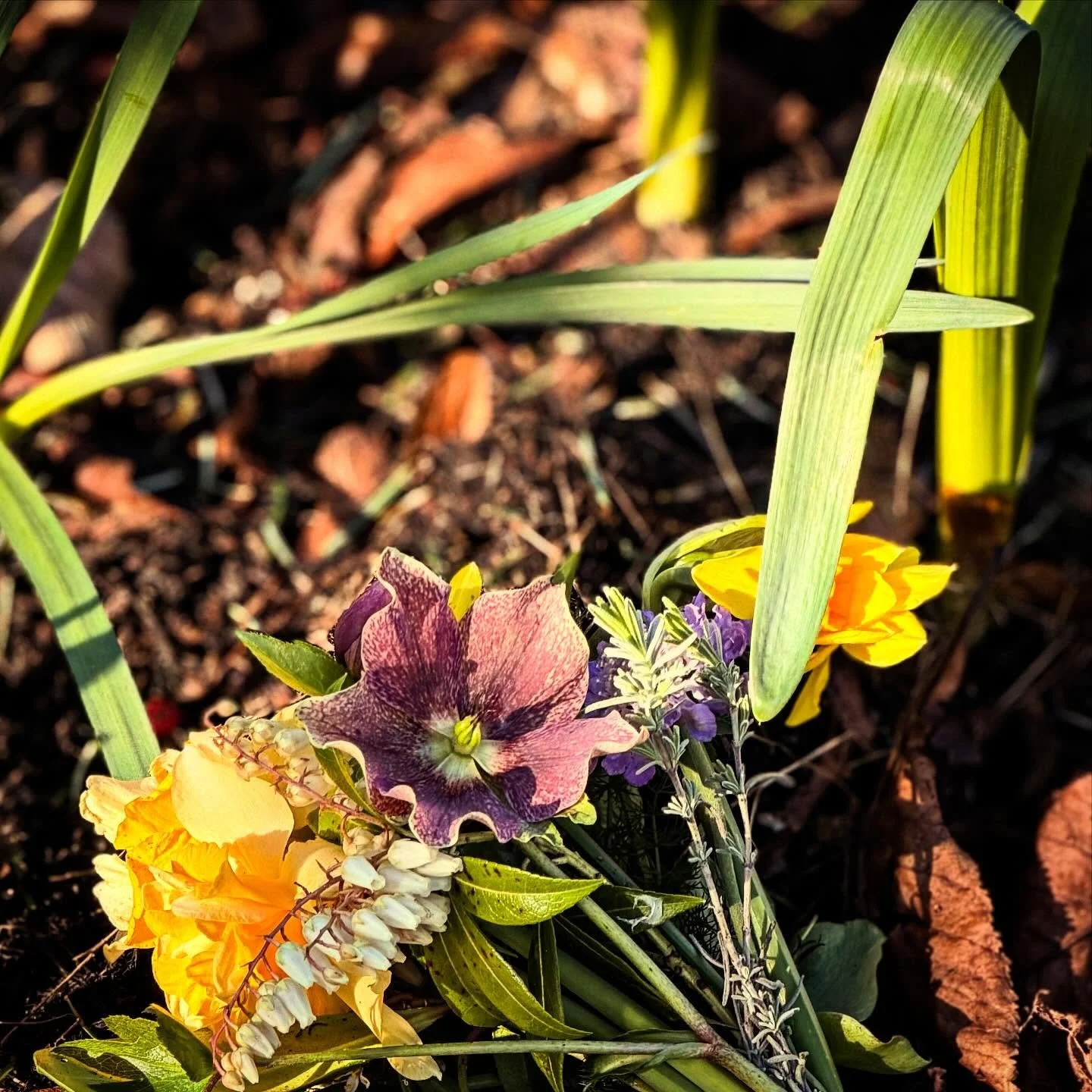 Slow morning. Going gently with a tender heart. Today is always rough. Not just the absence of anywhere to send a card with heartfelt words, not just the posy of flowers from my garden that I take to a grave rather than the warm hands of my mother. N