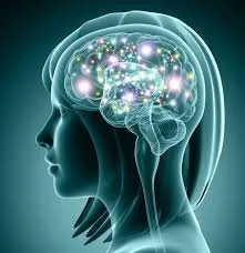 Digital illustration of a human head with a glowing transparent brain showing neural activity