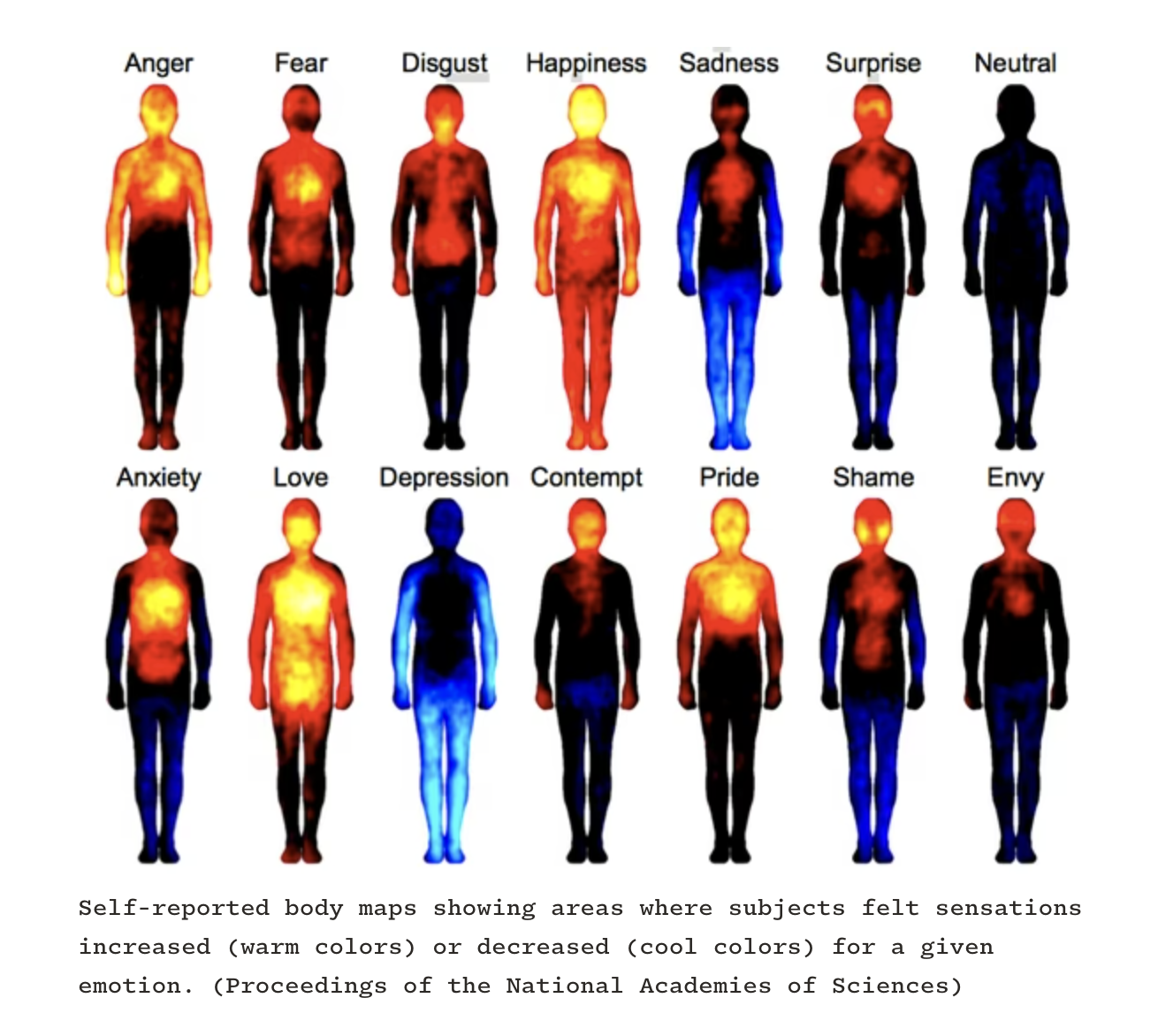 Self-reported body maps showing areas where subjects felt sensations increased (warm colors) or decreased (cool colors) for a given emotion. (Proceedings of the National Academies of Sciences)