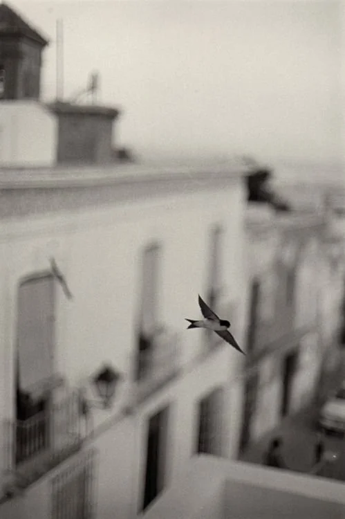 Los hijos y vida expat: adaptarse a un nuevo contexto.