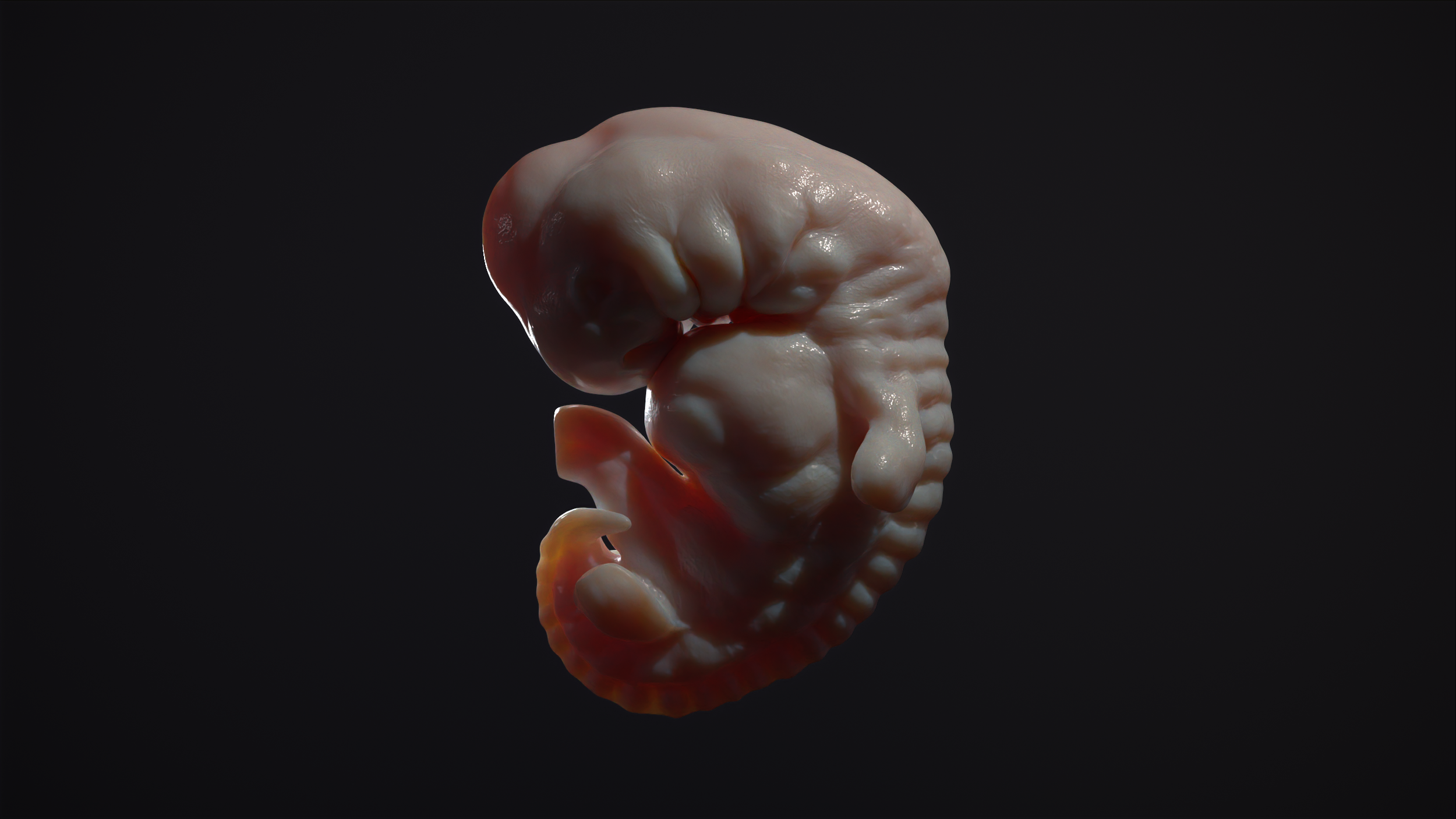 render02_002.png