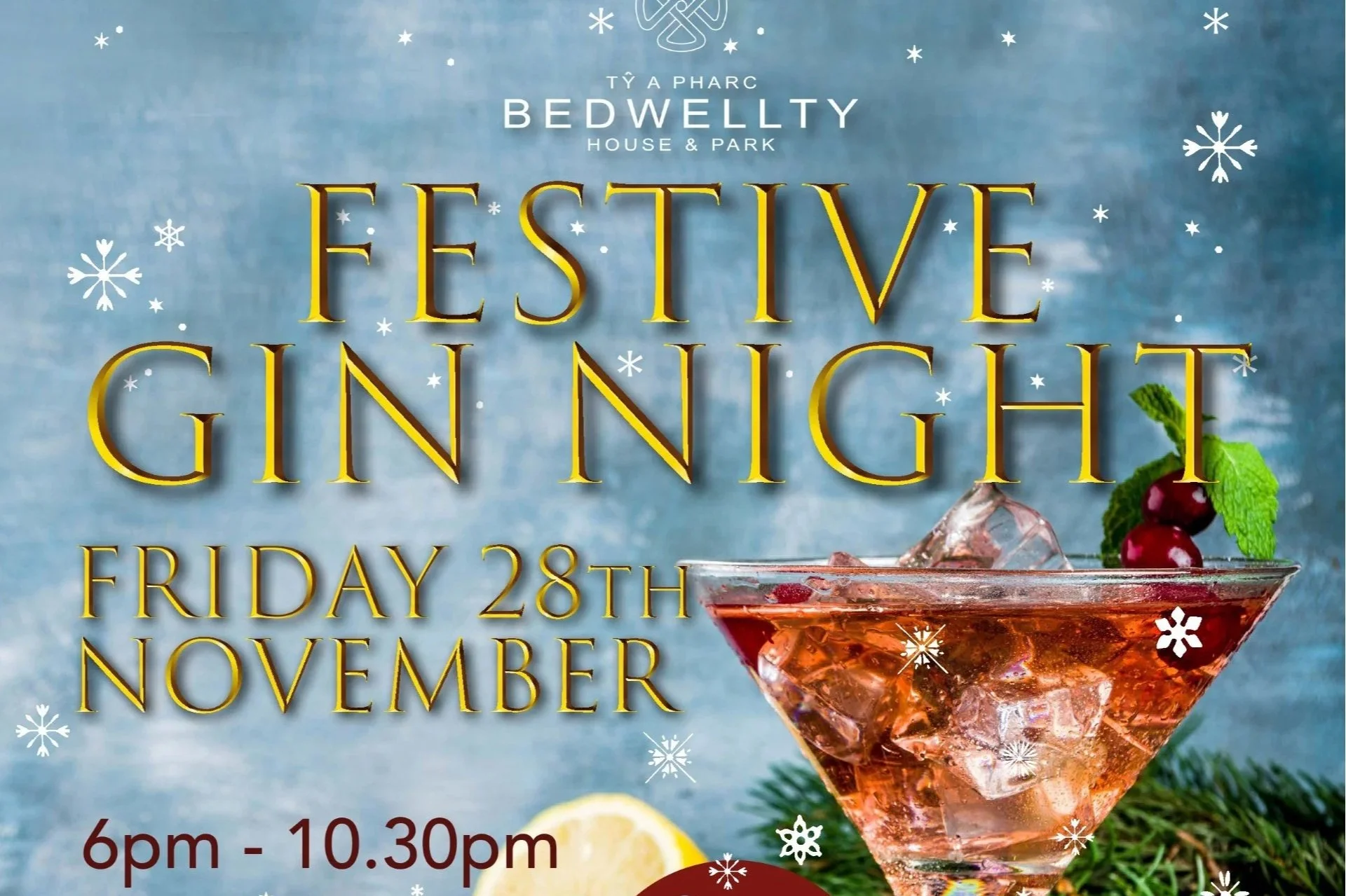 Festive Gin Night