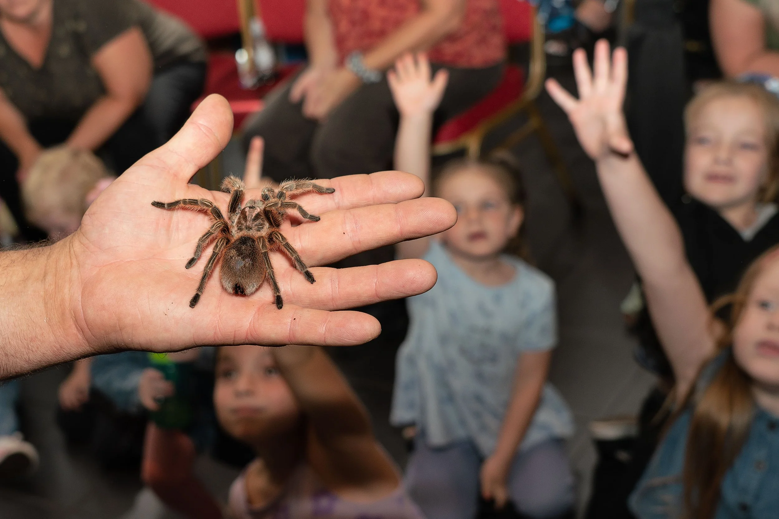 Animal Encounters  (3).jpg