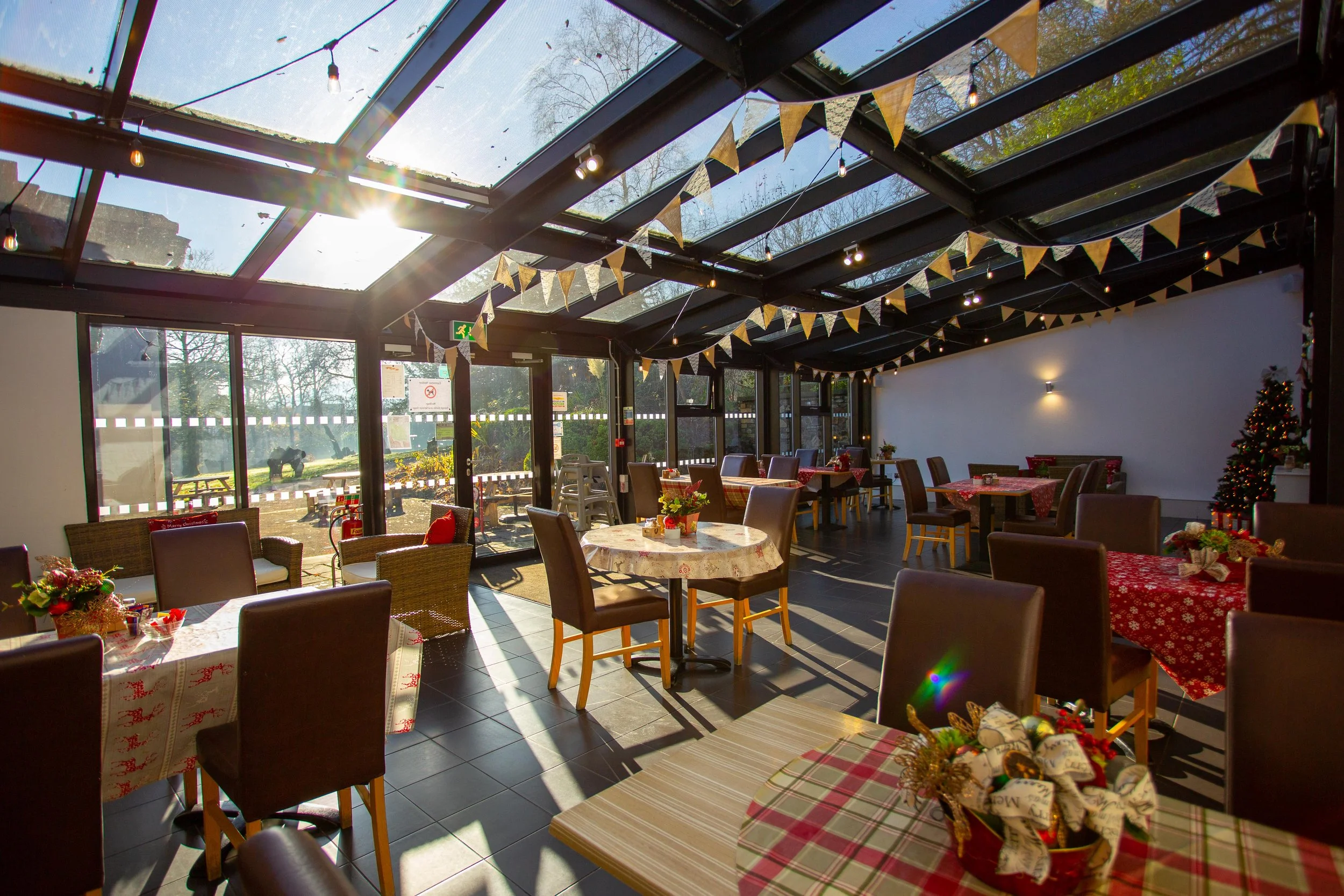 Christmas Lunches