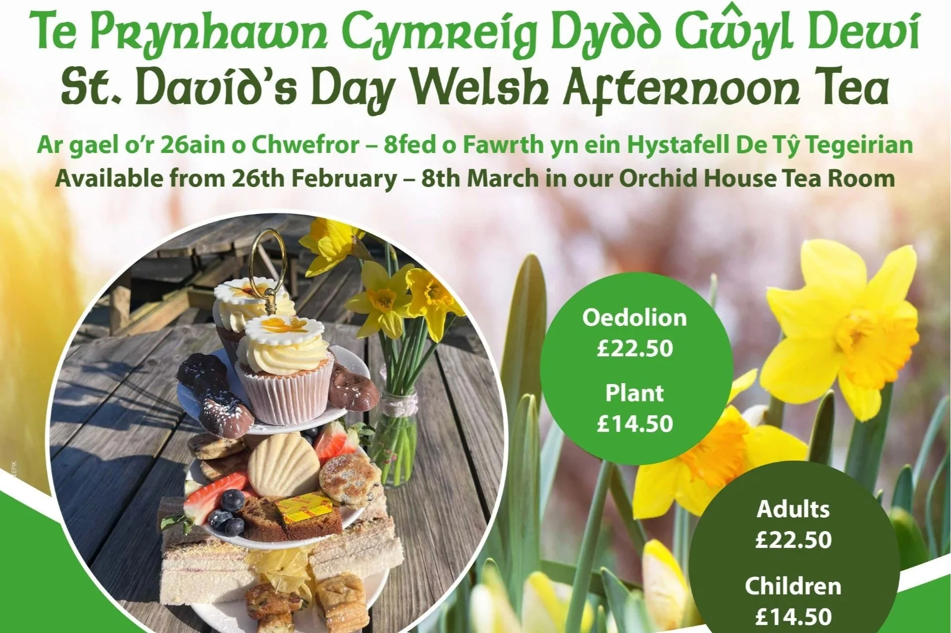 St. David's Day Welsh Afternoon Tea
