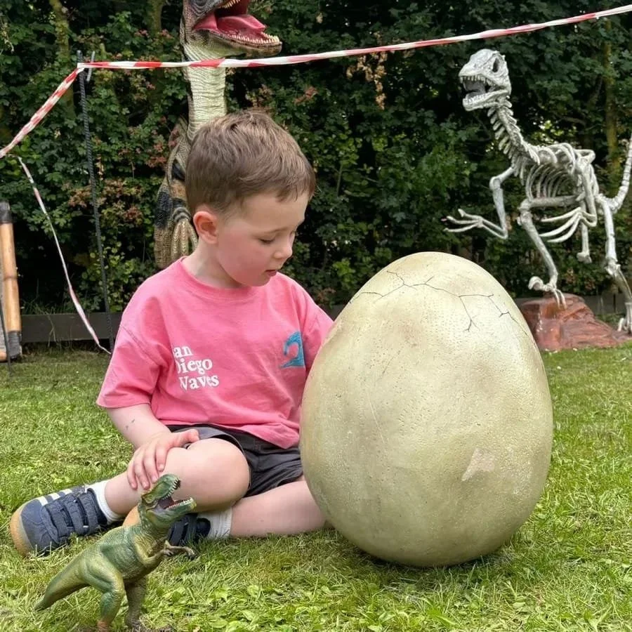 dino egg_.jpg