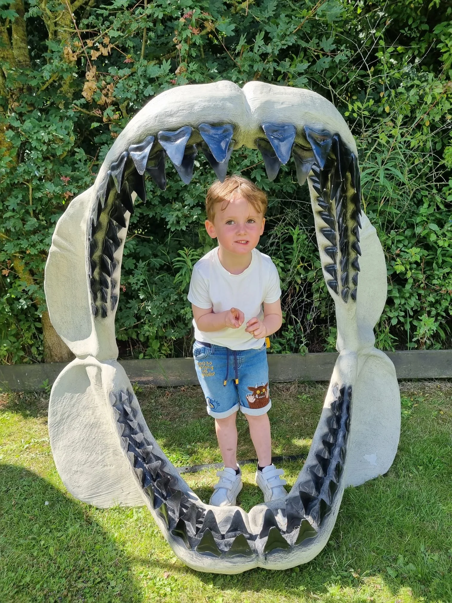 dino display teeth.jpg