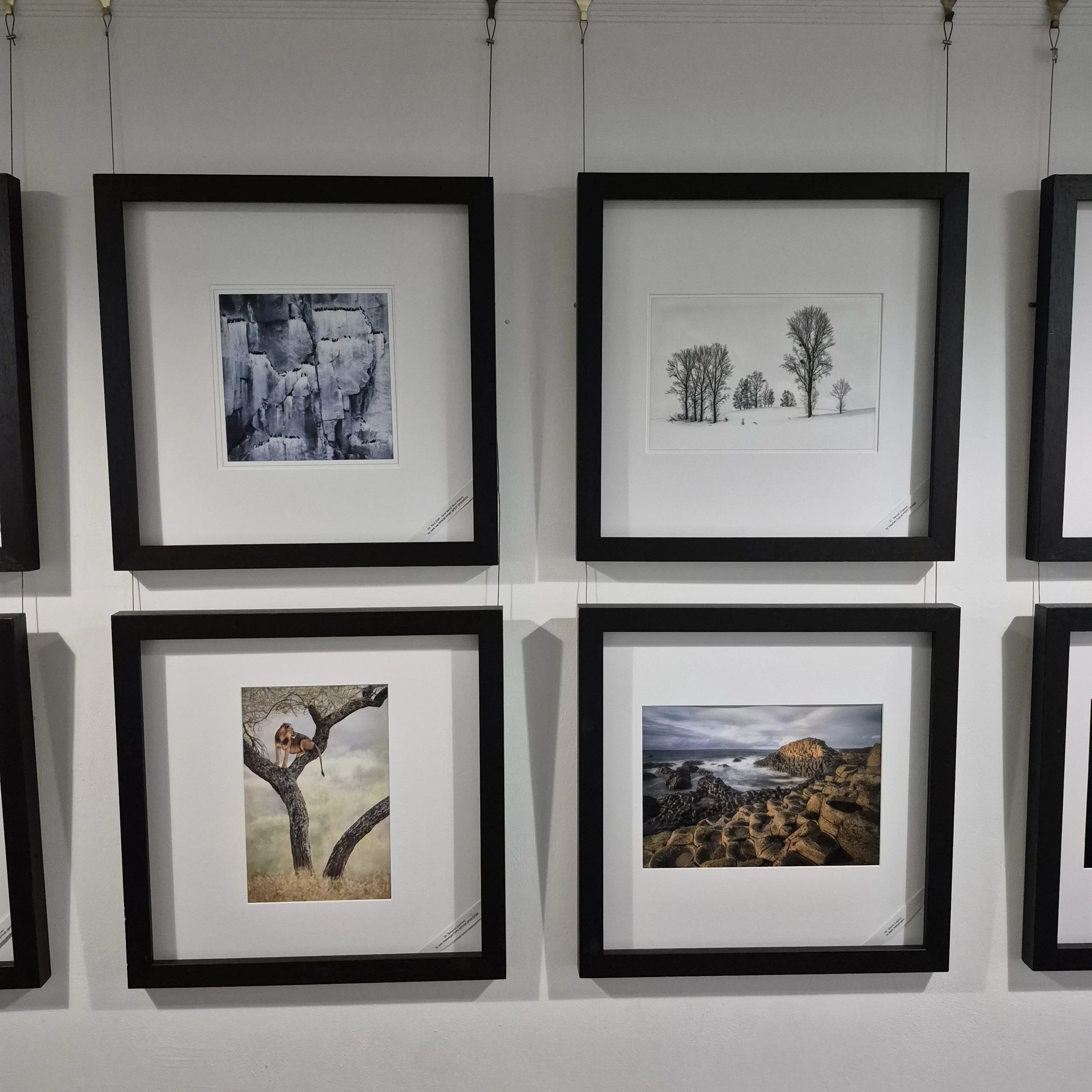 Exhibition Example1.jpg