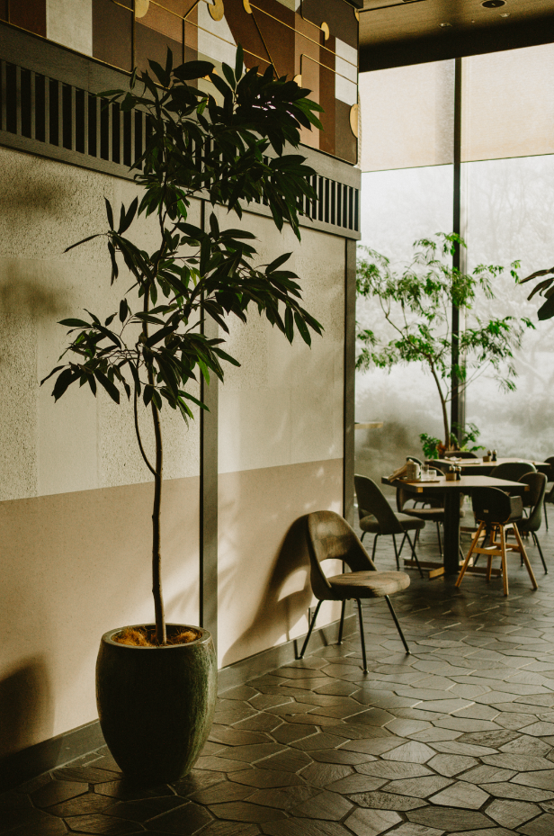 Indoor space with potted plant, chairs, and tables near large windows with natural light, modern decor, and geometric tile flooring.