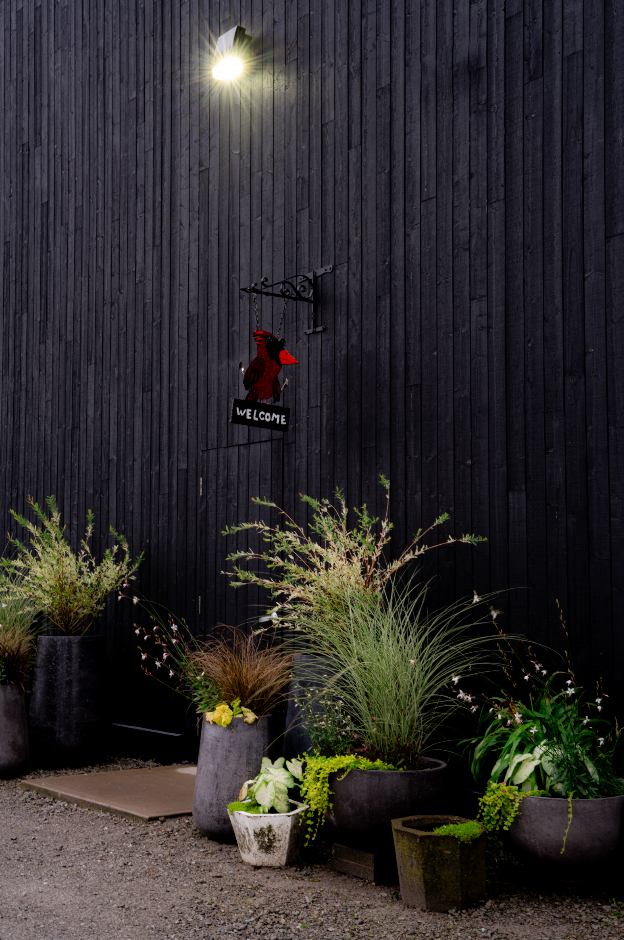A dark exterior wall with a decorative black wrought-iron hanger, a red bird sculpture on a black sign that says "WELCOME", and potted plants with green foliage at the base. A bright light is shining from above.