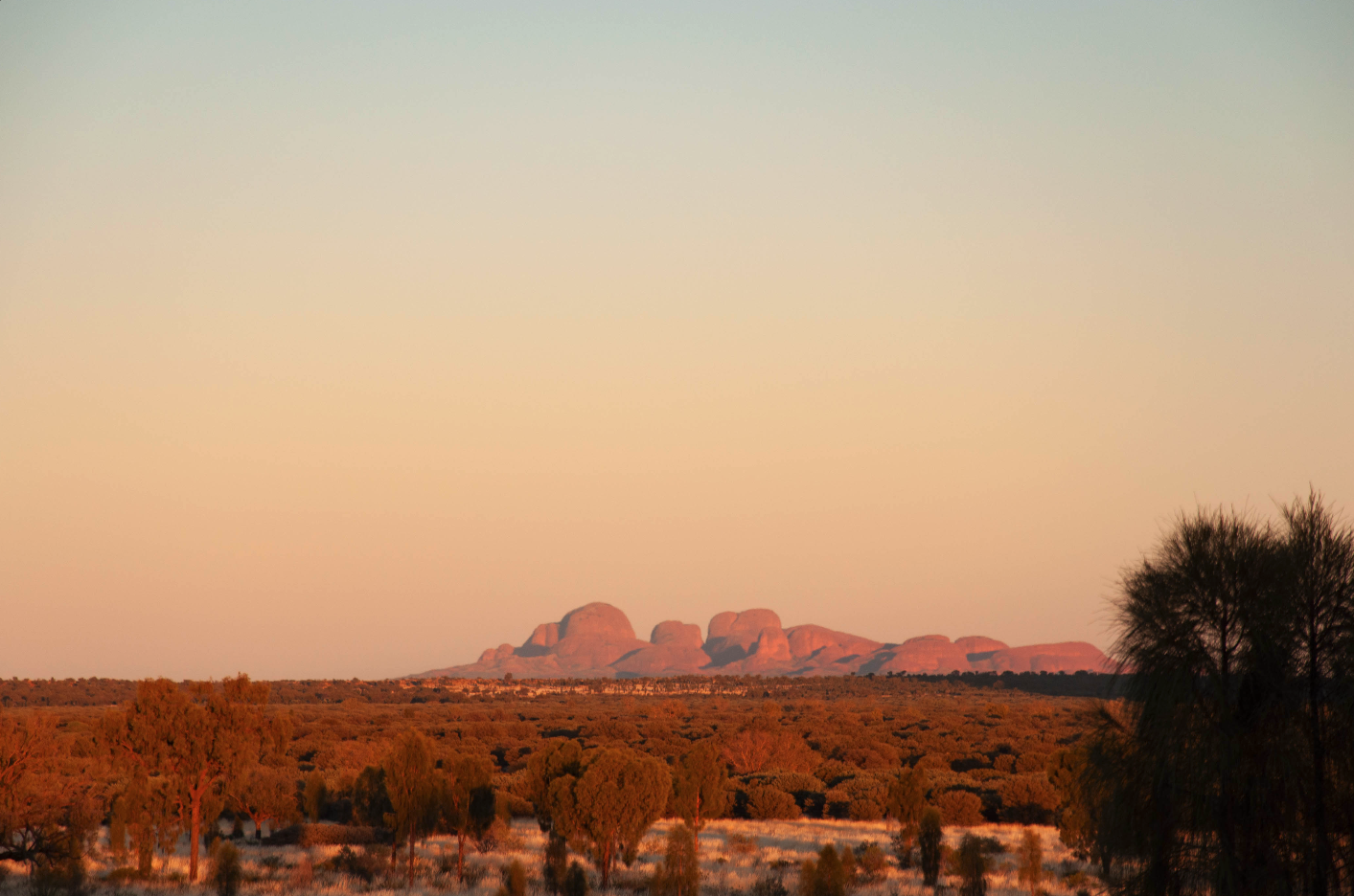 Sunset over the red rock formations of Uluru in the Australian desert, with sparse vegetation and a clear sky.