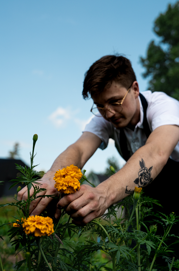 A person with glasses and a tattoo on their arm is tending to orange marigold flowers in a garden.