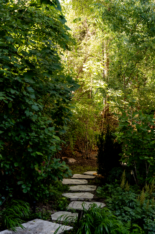 MariePierStLaurent_Architecture_WychwoodPark3.png