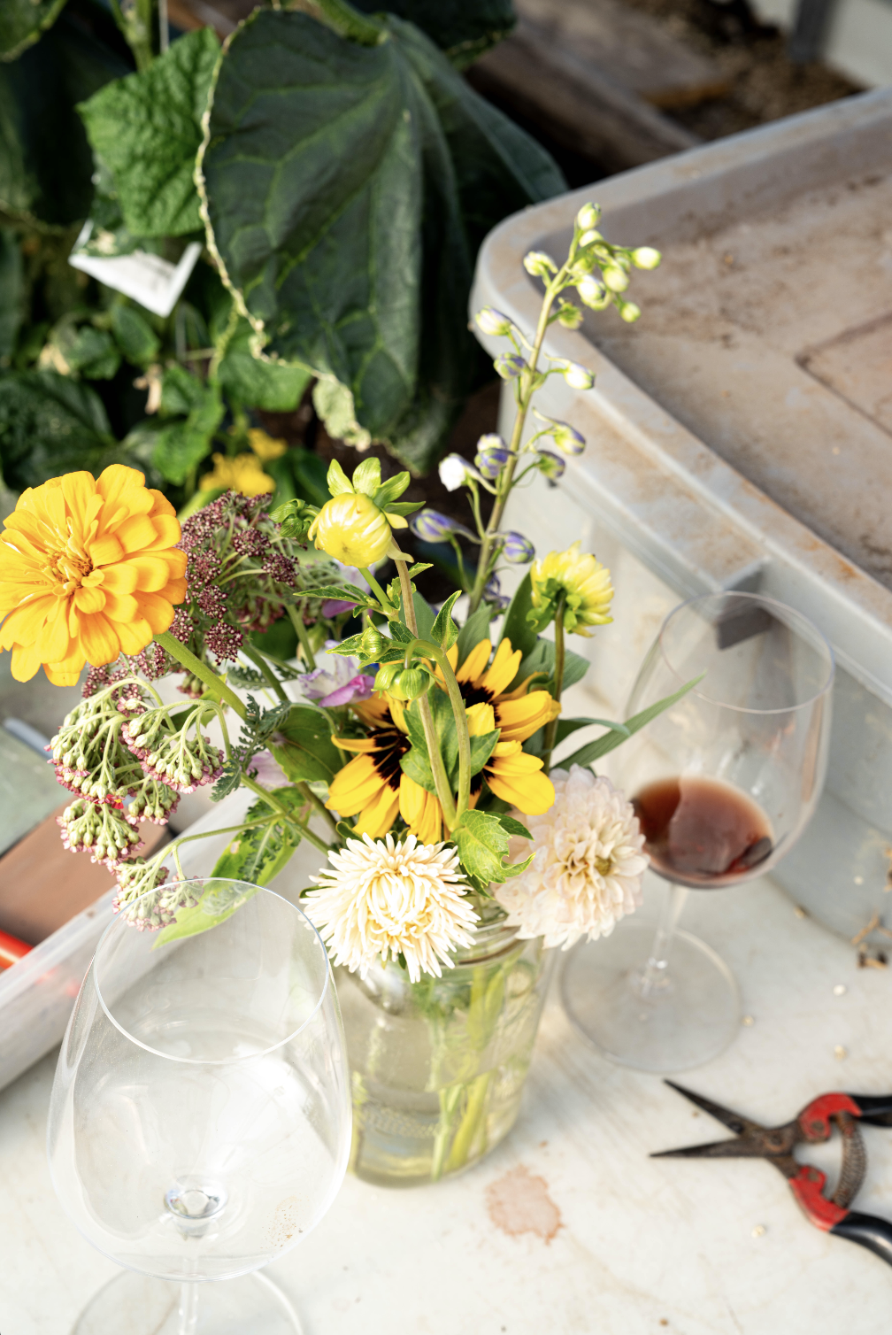 A vase with colorful flowers including yellow, white, and purple blossoms, placed on a table next to two glasses of red wine and gardening scissors.