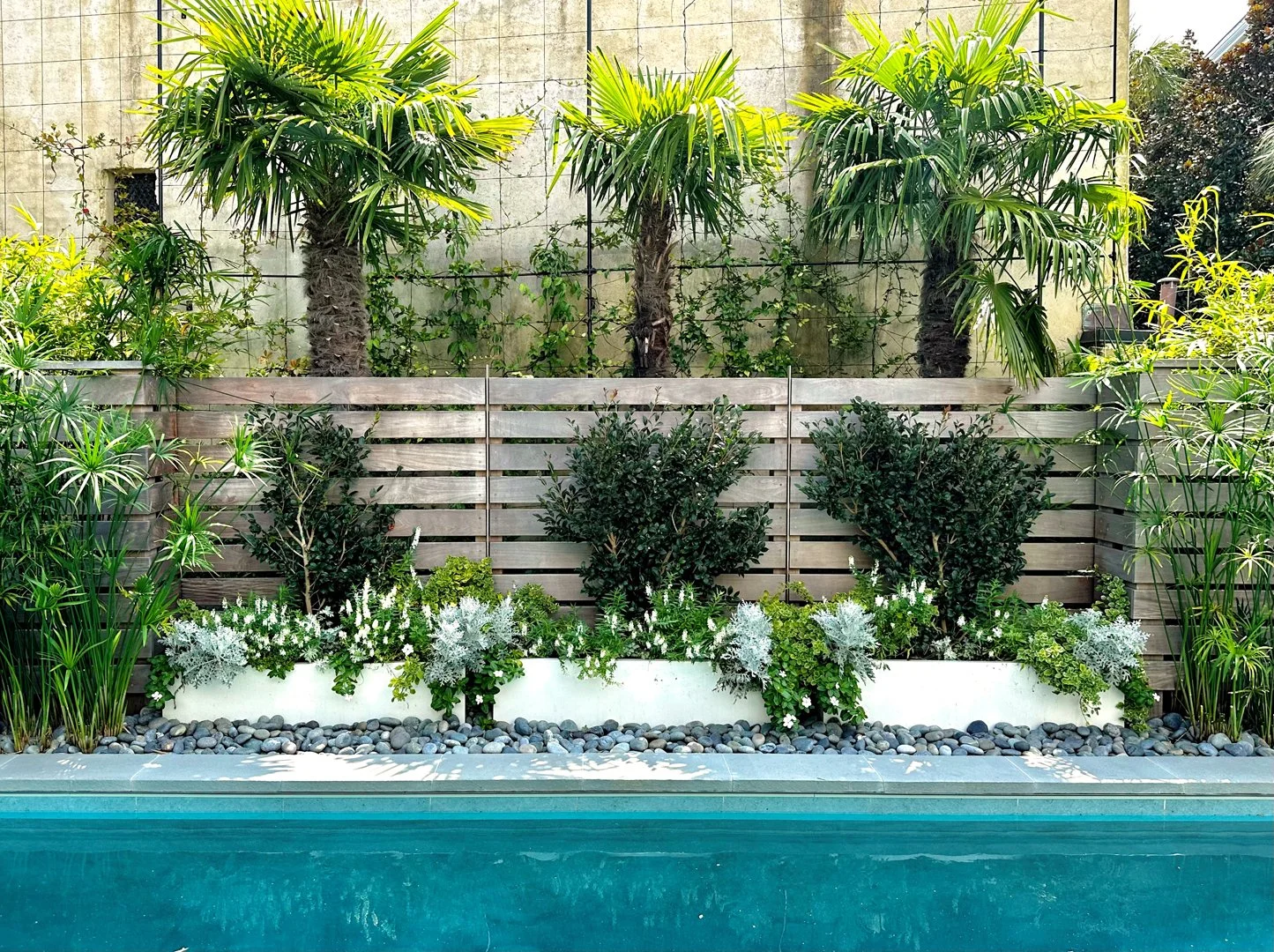 Pool Planters.jpg