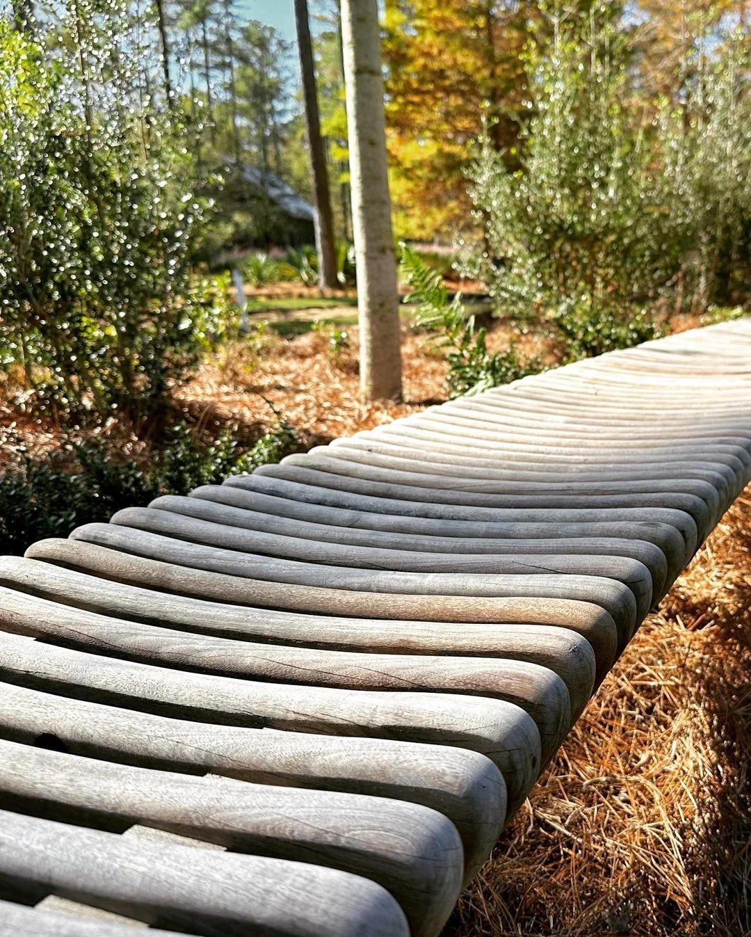bench1.jpg