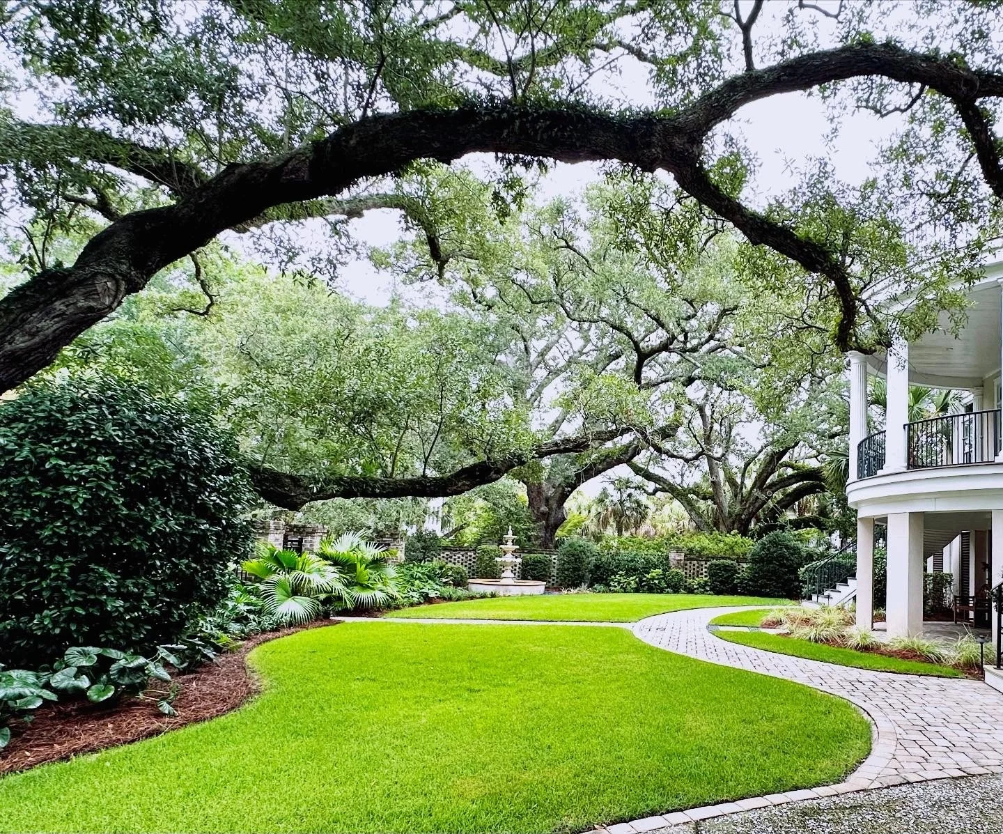 Rispler Front Yard 2.jpg