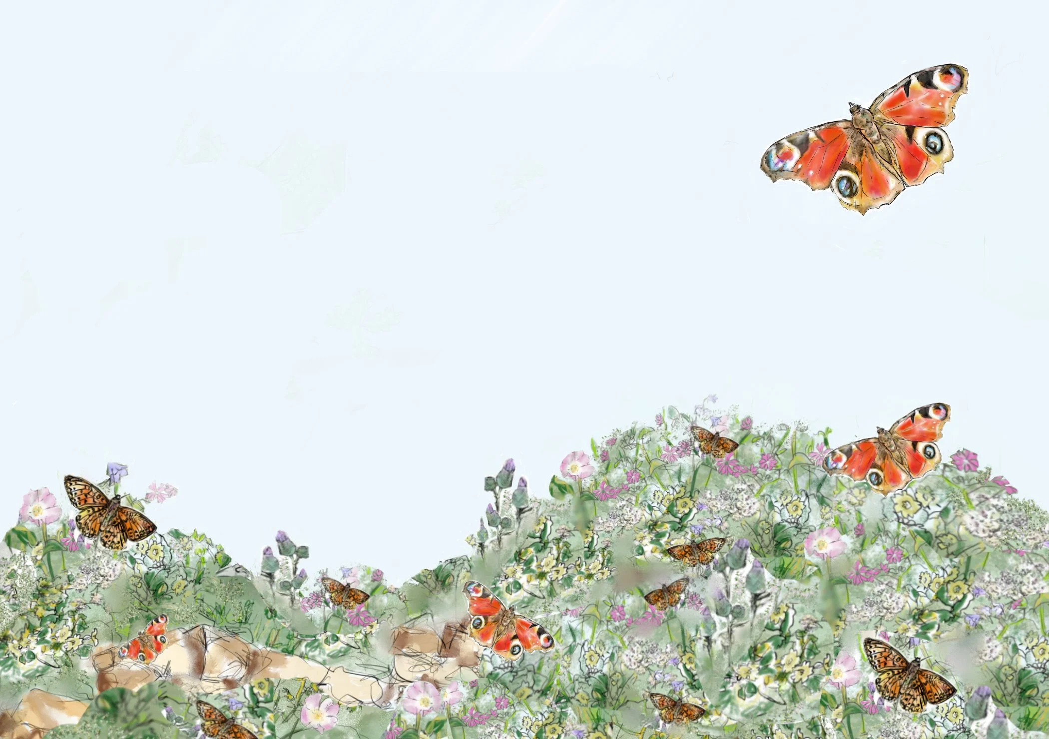 Butterflies.jpg