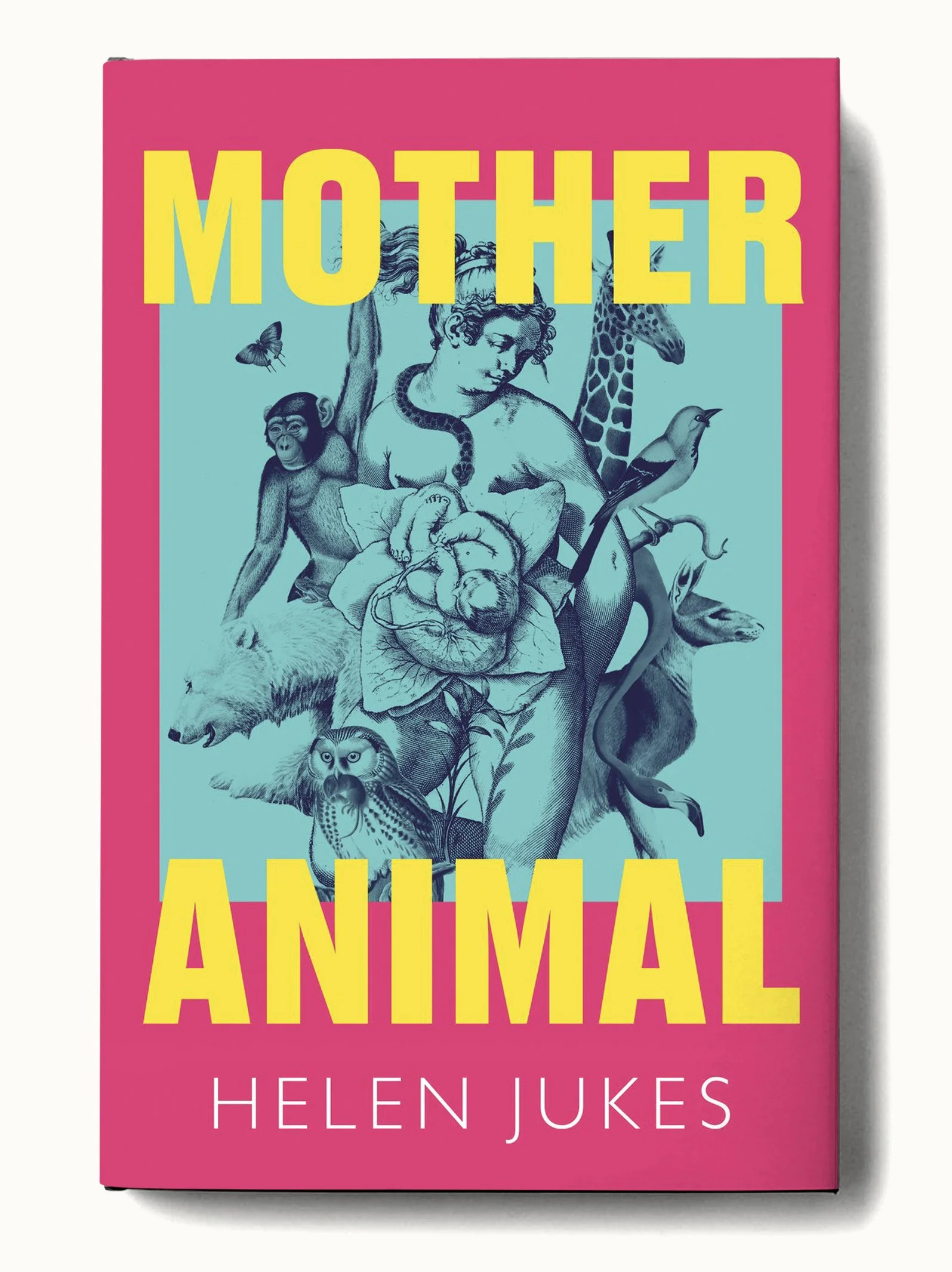 MOTHERANIMAL MOCKUP.jpg