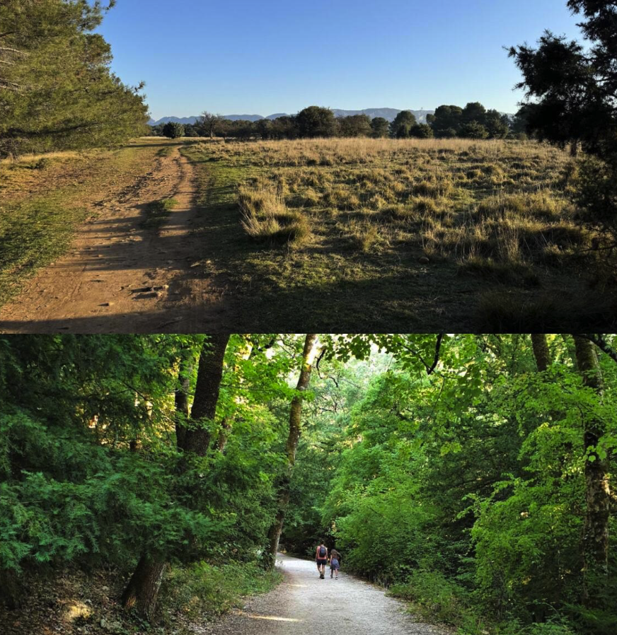 Screenshot 2025-12-31 at 11.37.21 PM.png