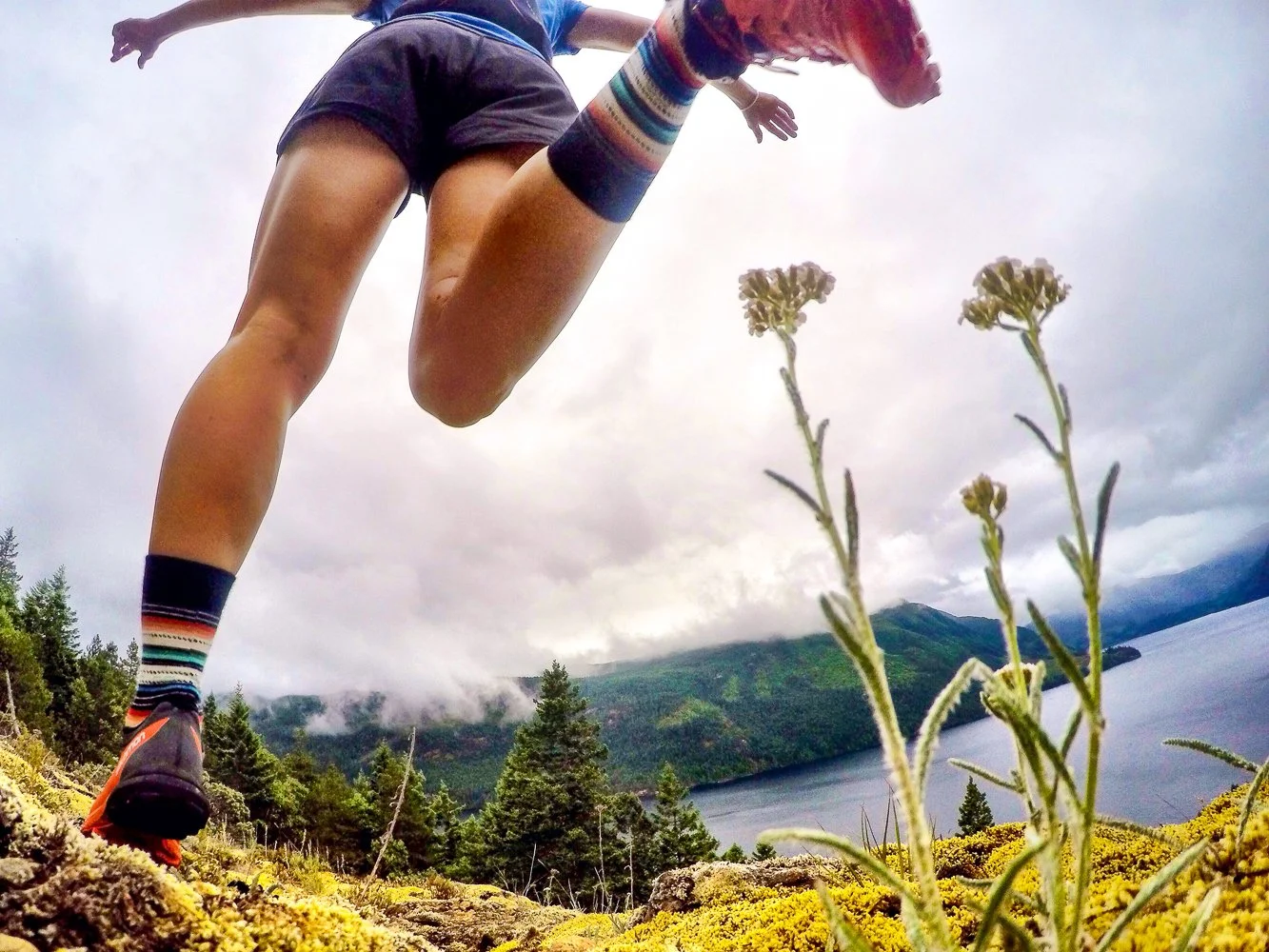 Sarah Seads Images-3.jpg