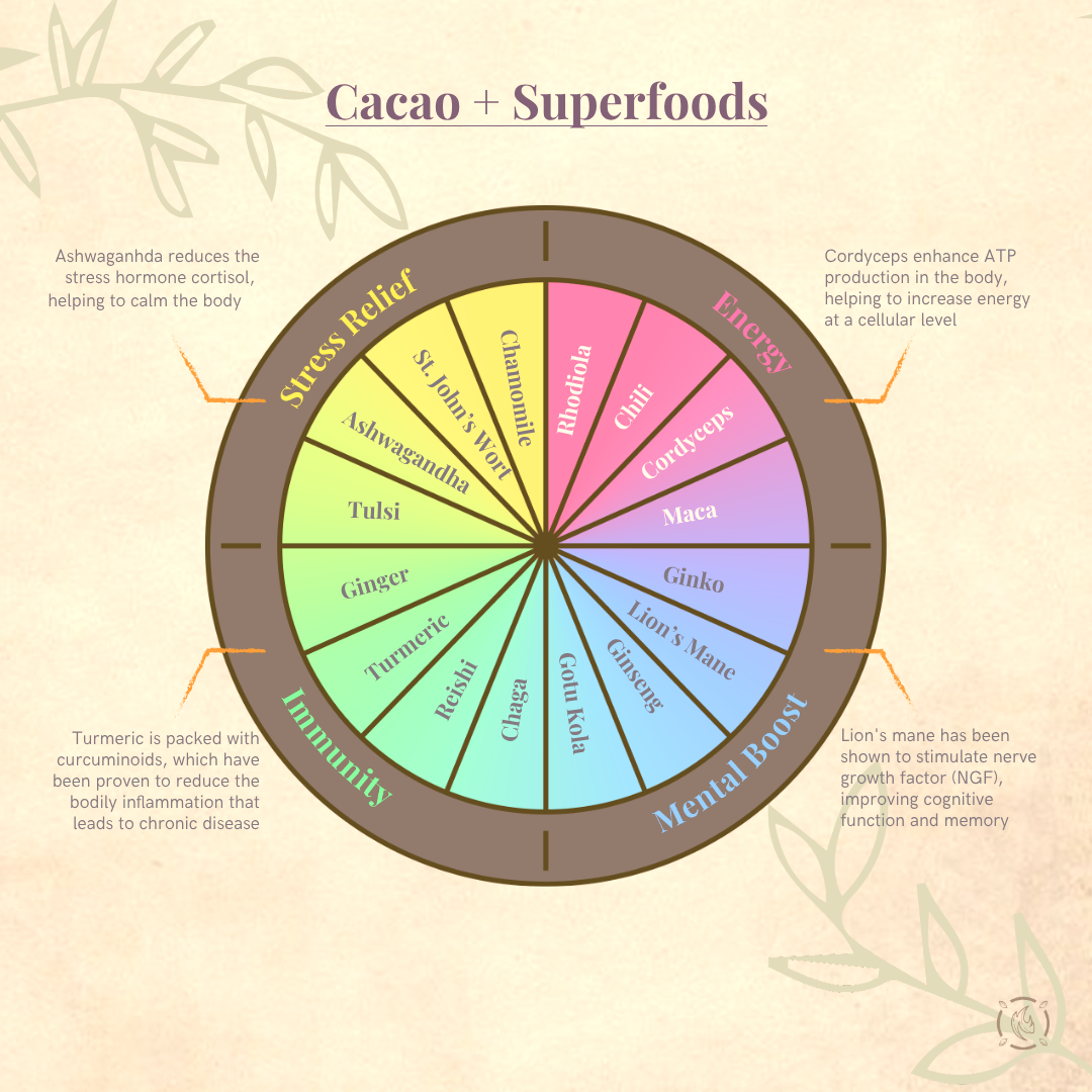 Cacao Laboratory